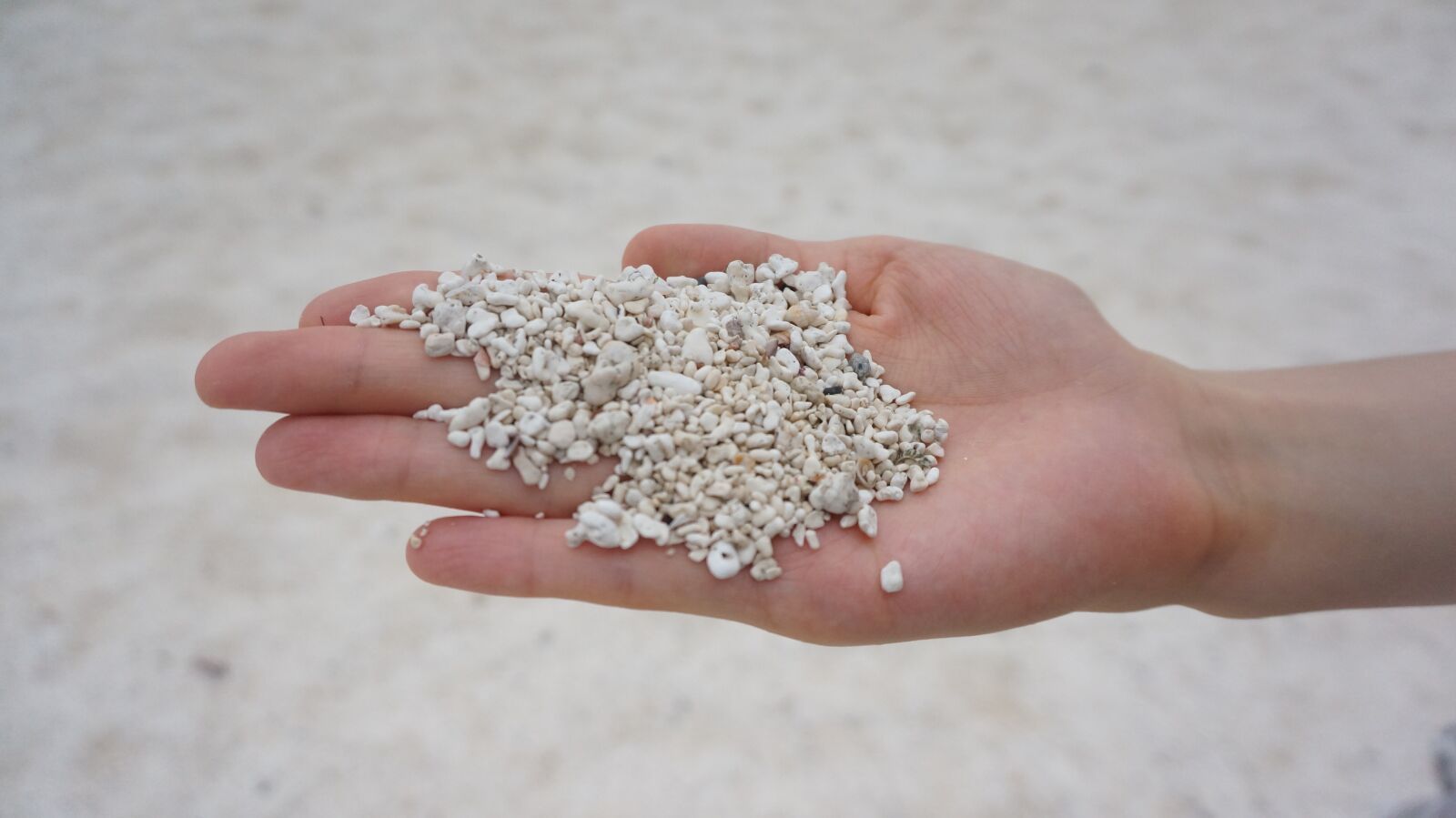 Sony Alpha NEX-5T sample photo. Rock, beach, sand photography