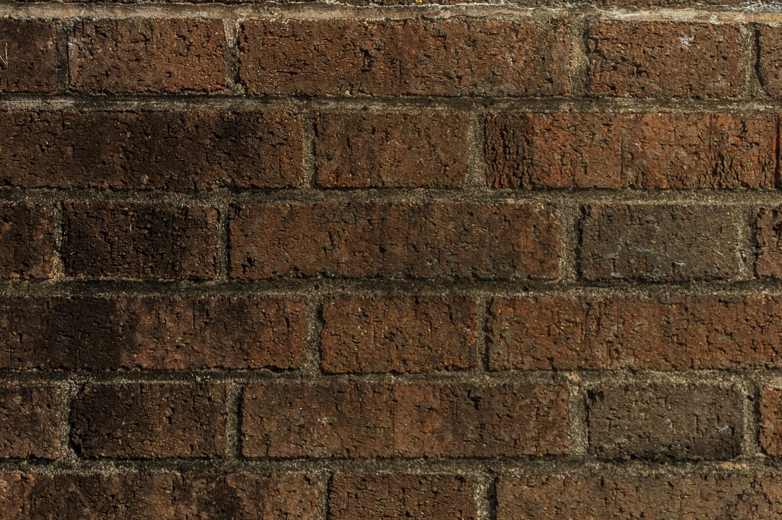 Nikon D40 sample photo. Wall, lake dusia, brick photography