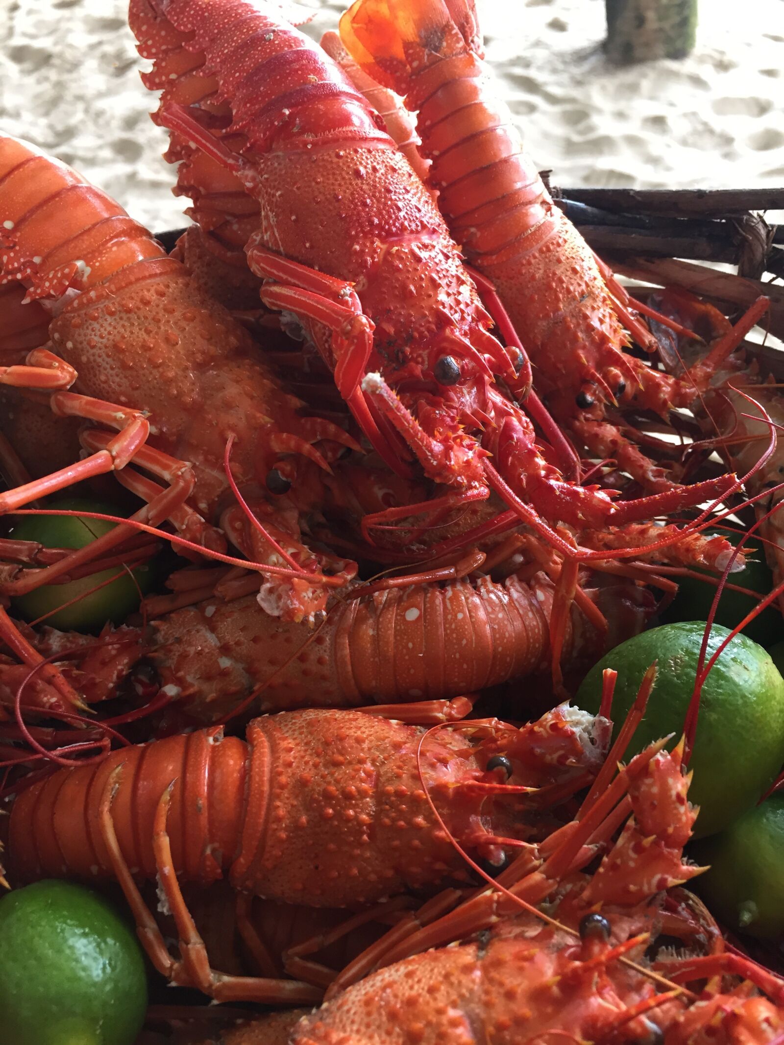Apple iPhone 6 sample photo. Lobsters, the fruit of photography