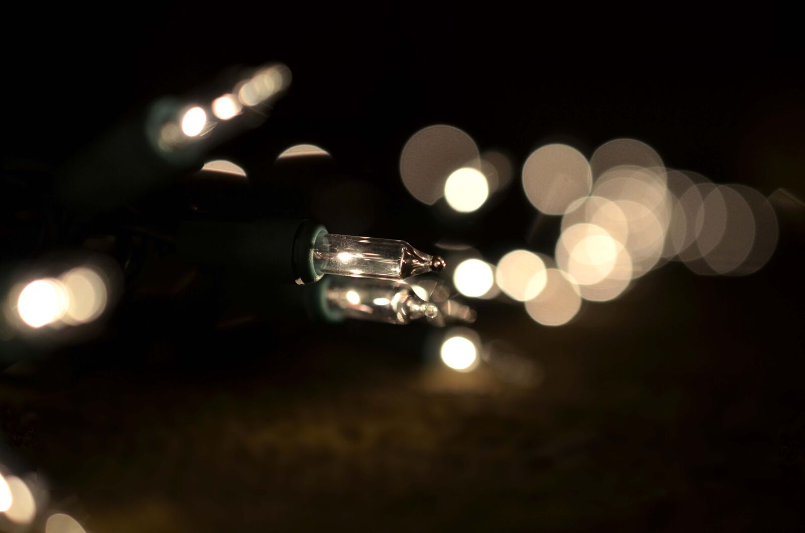 Nikon D5100 sample photo. Christmas lights, lights, christmas photography