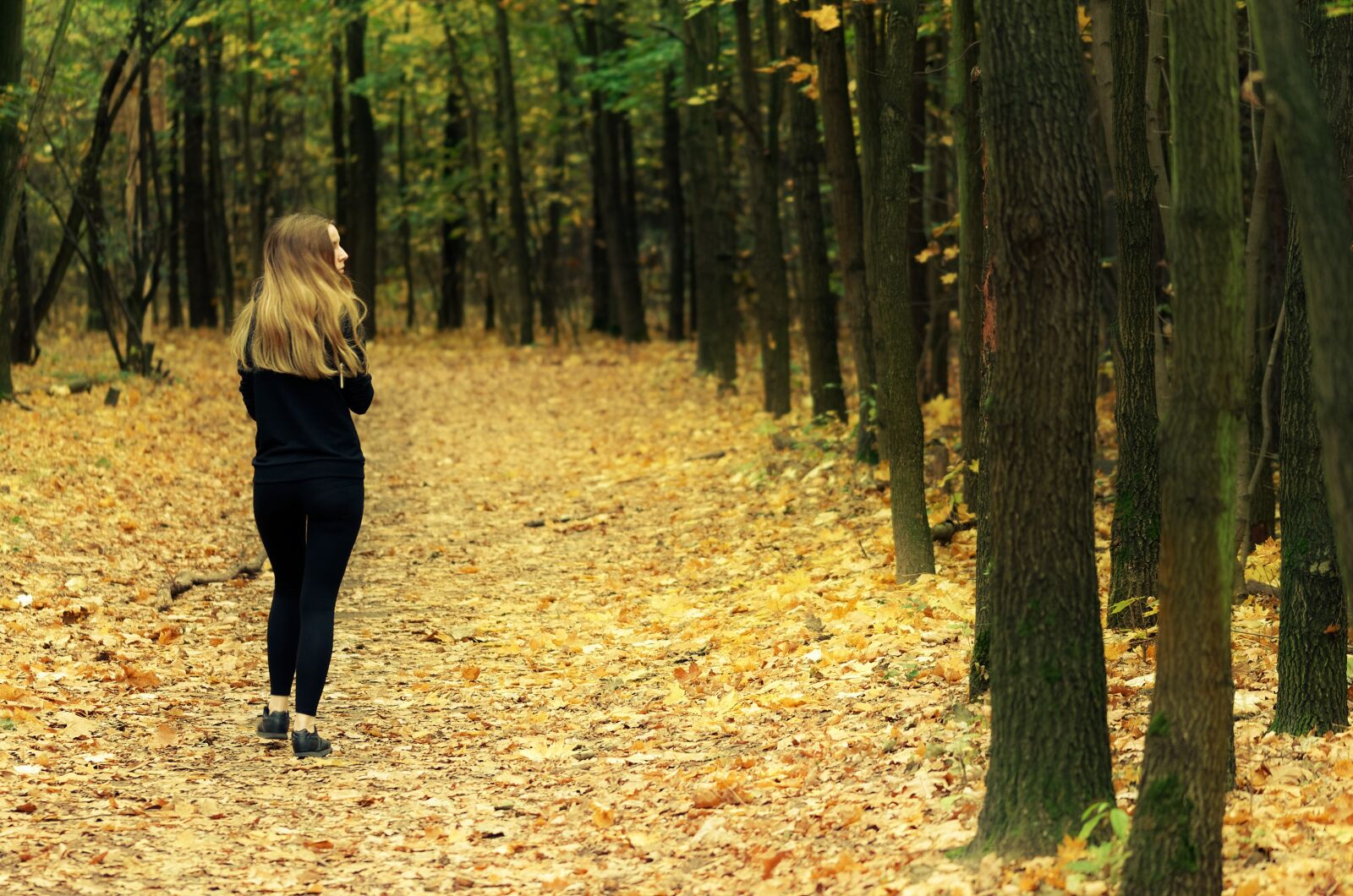 Nikon D5100 sample photo. Girl, woman, person photography