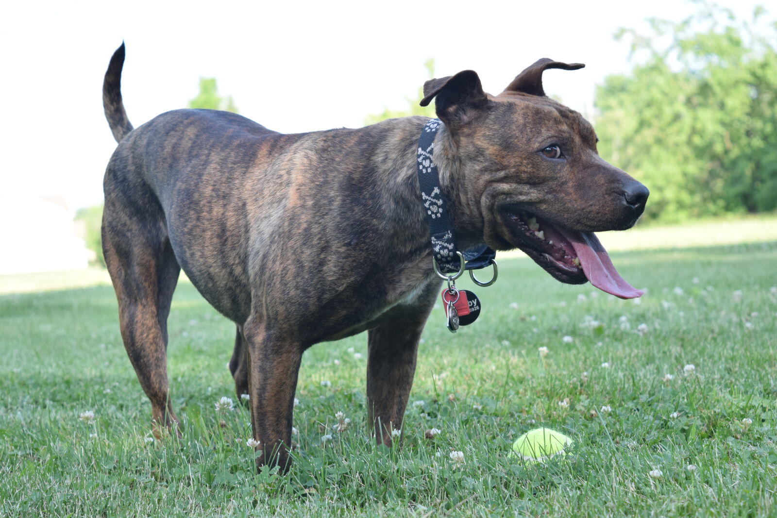 Nikon D3300 sample photo
