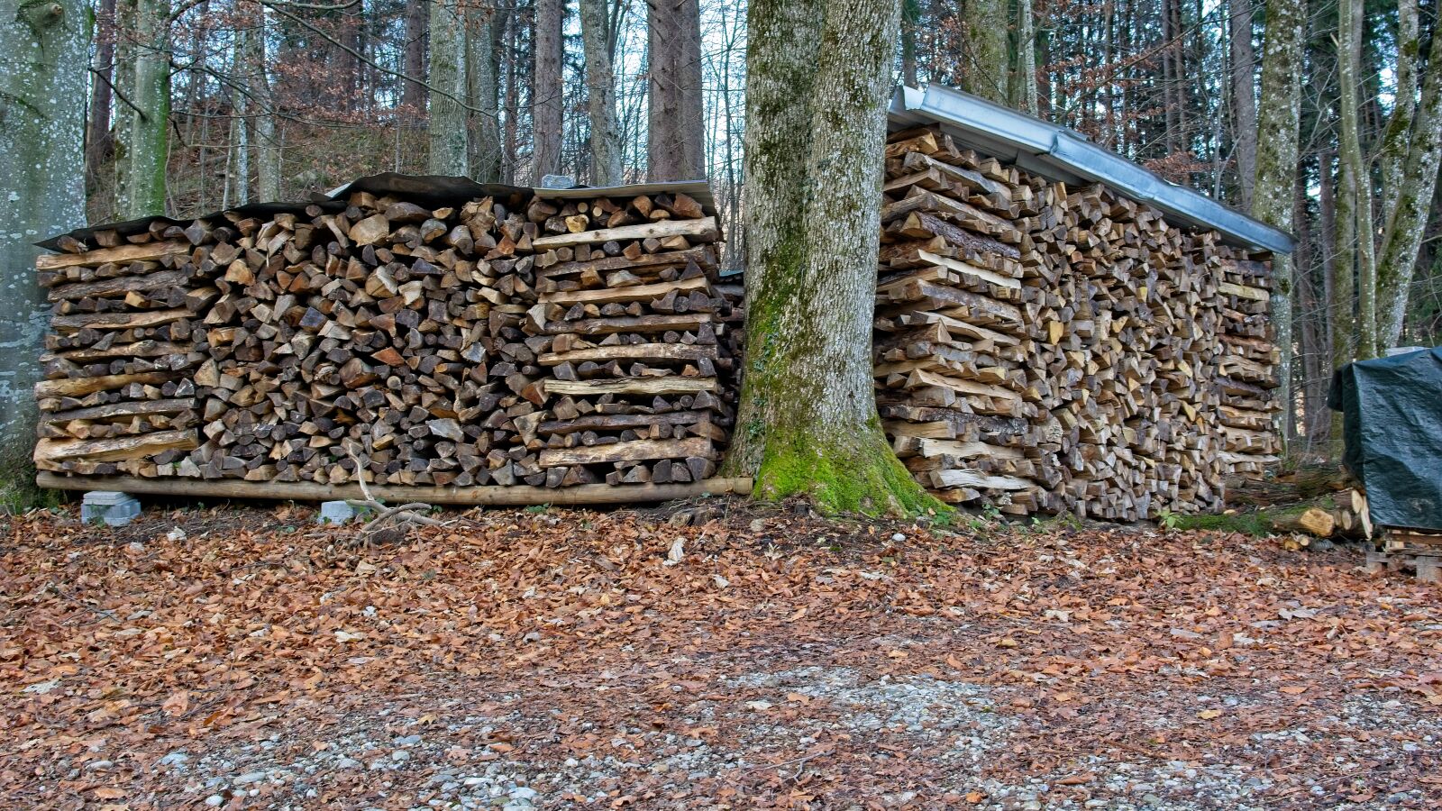 Nikon D7100 sample photo. Firewood, logs, holzstapel photography