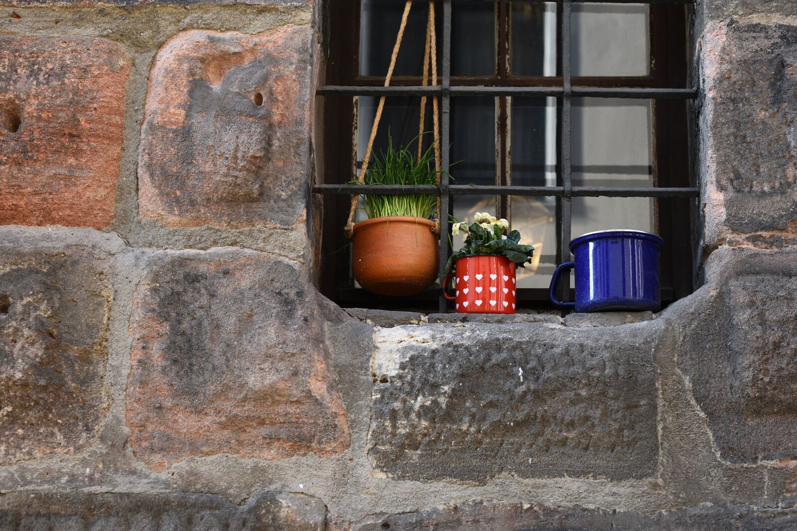 Nikon D7200 sample photo. Wall, hauswand, flowerpot photography