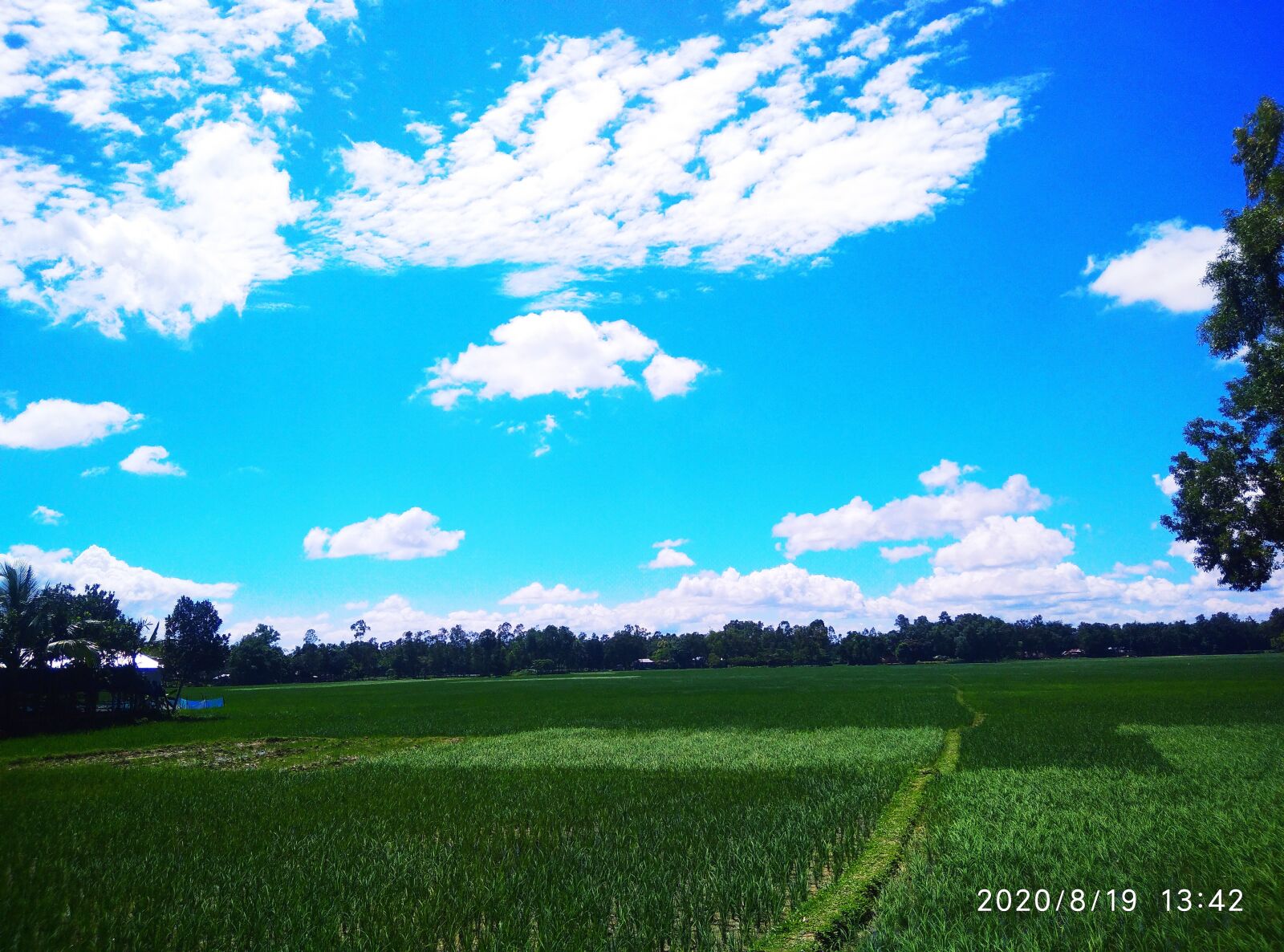 Xiaomi Redmi 8A Dual sample photo. Village, place, sky photography