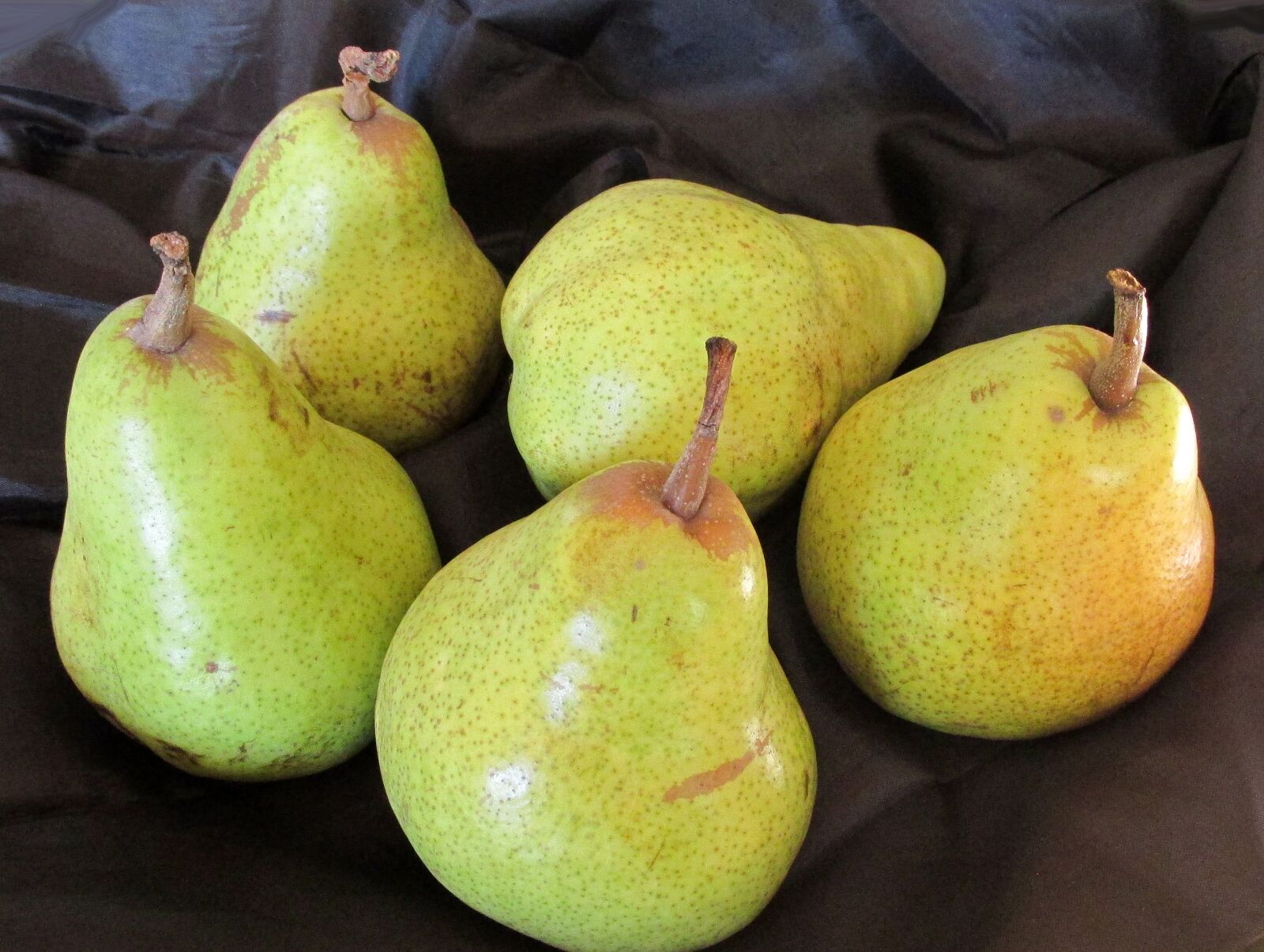 Canon PowerShot SX170 IS sample photo. Pears, green organic, fruit photography