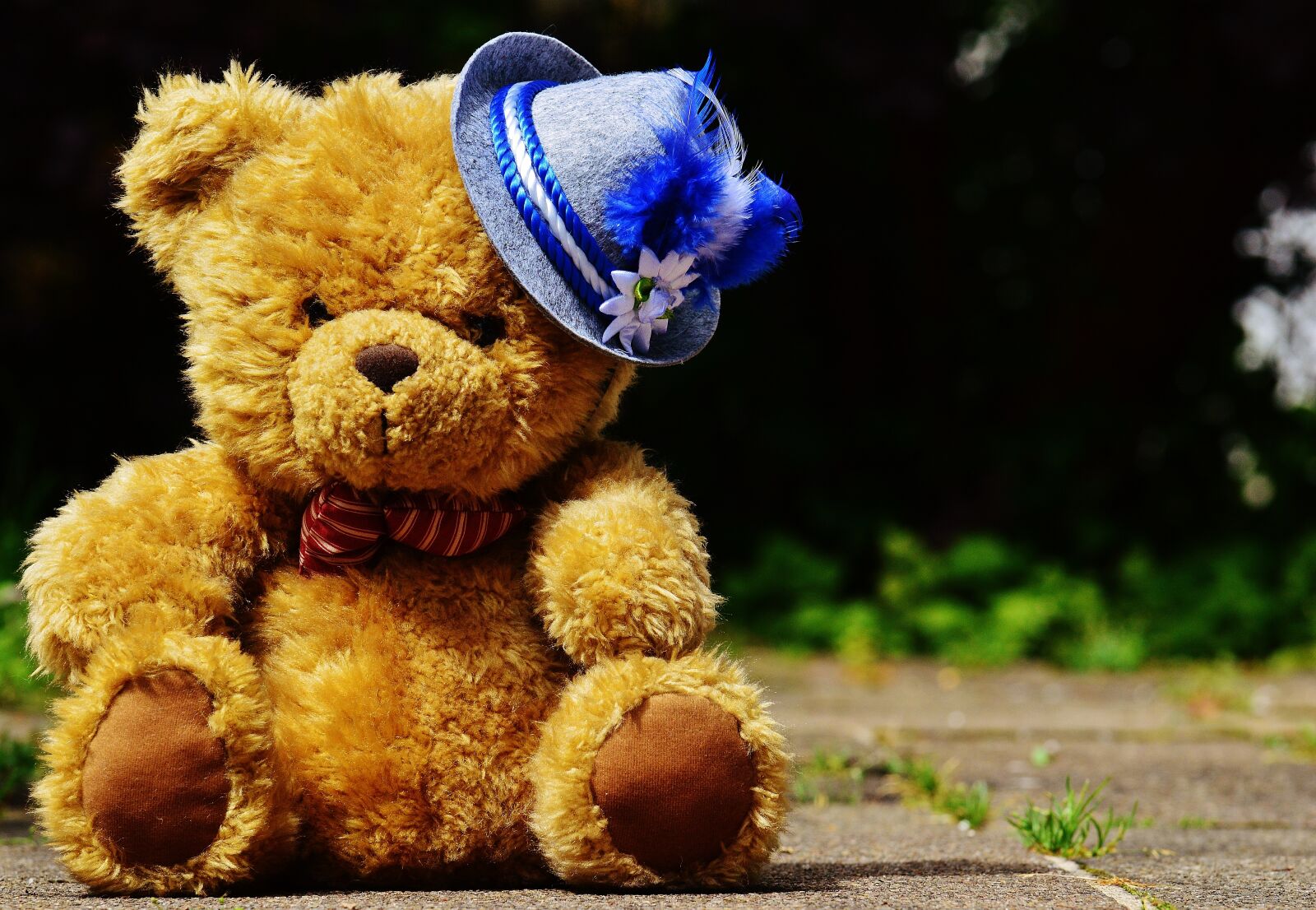 Nikon D3200 sample photo. Oktoberfest, teddy, hat photography