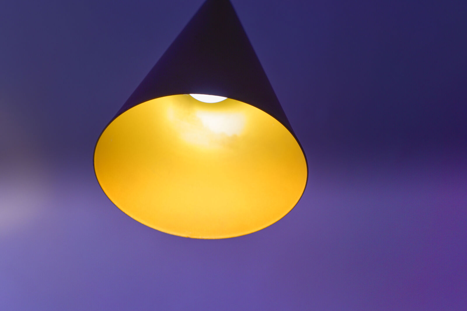 Nikon D750 sample photo. Blur, bright, color, colorful photography