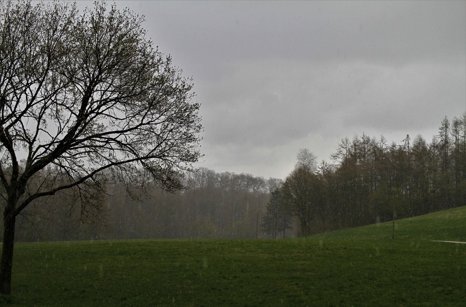 Canon EOS 7D sample photo. Sleet, snow, snow rain photography