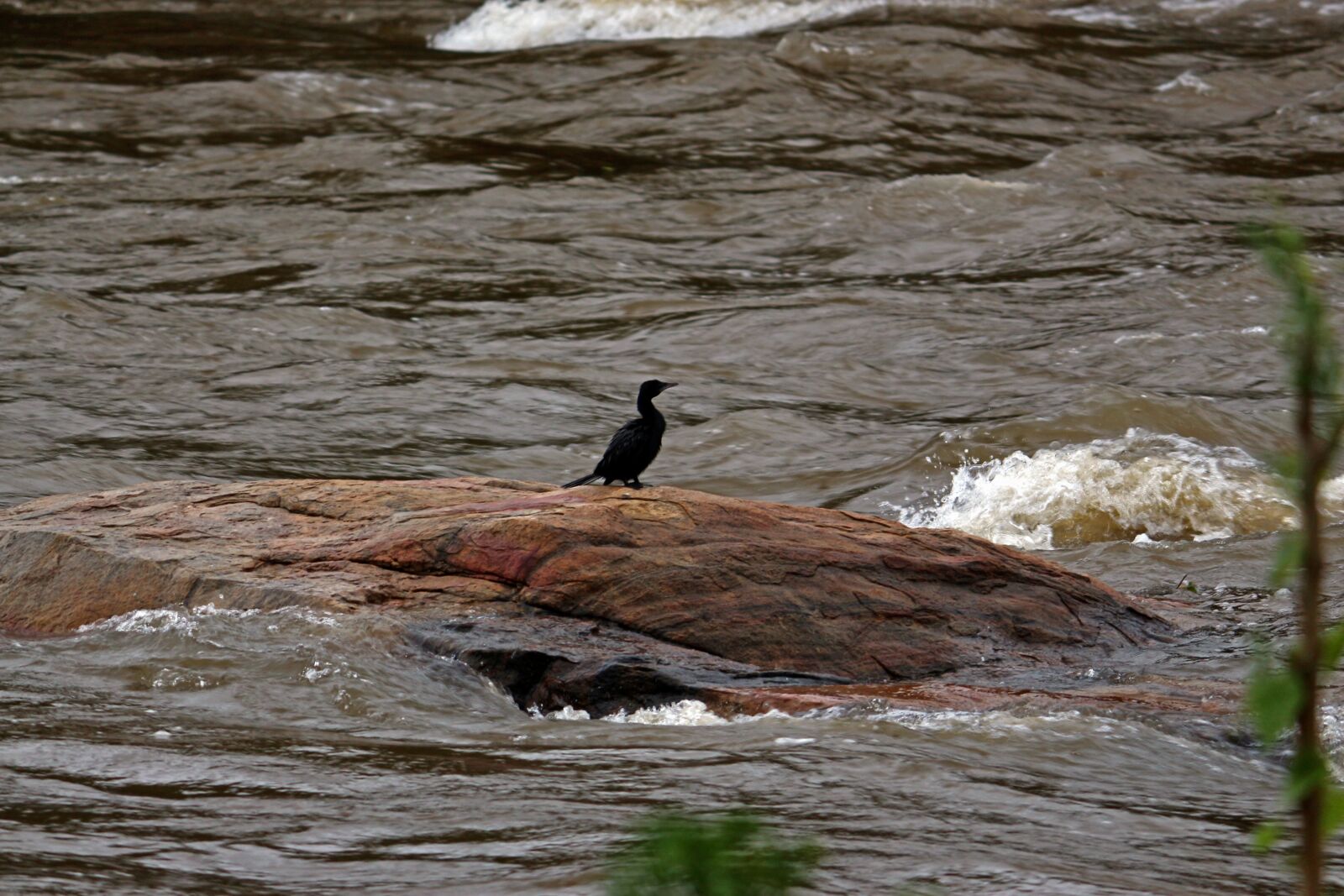 Canon EOS 700D (EOS Rebel T5i / EOS Kiss X7i) sample photo. Alone, lonely, sad photography