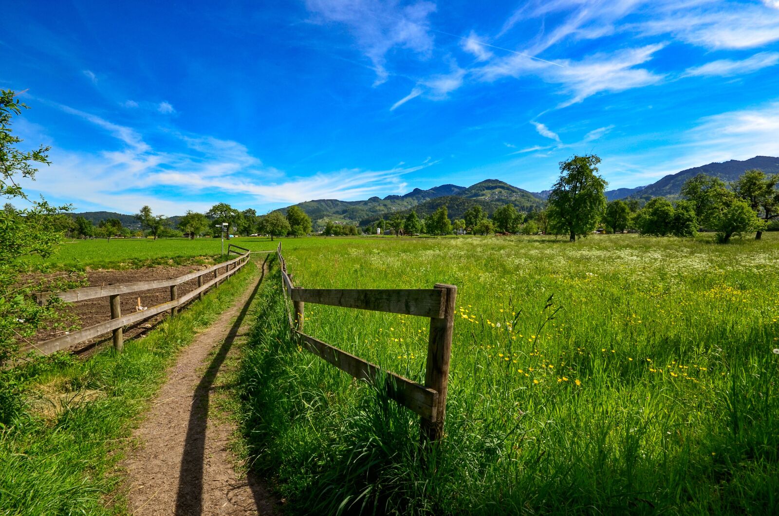 Nikon D7000 sample photo. Passage, meadow, landscape photography