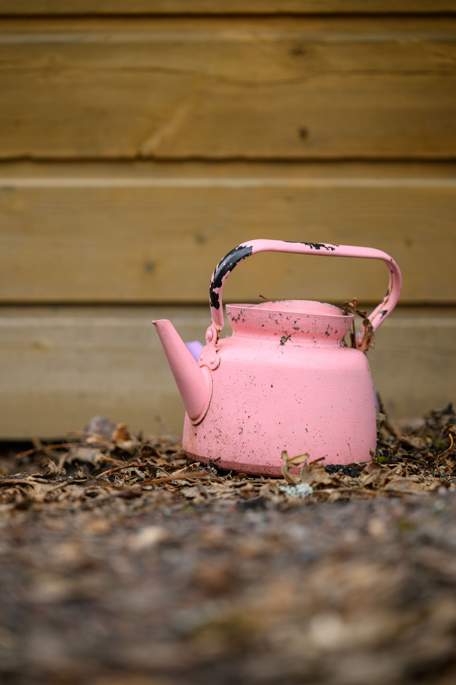 Nikon Z8 sample photo. Pink coffee pot photography