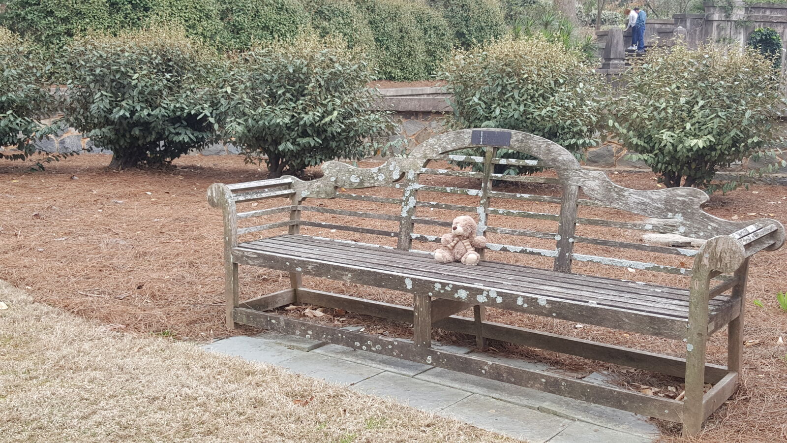 Samsung GALAXY S6 edge sample photo