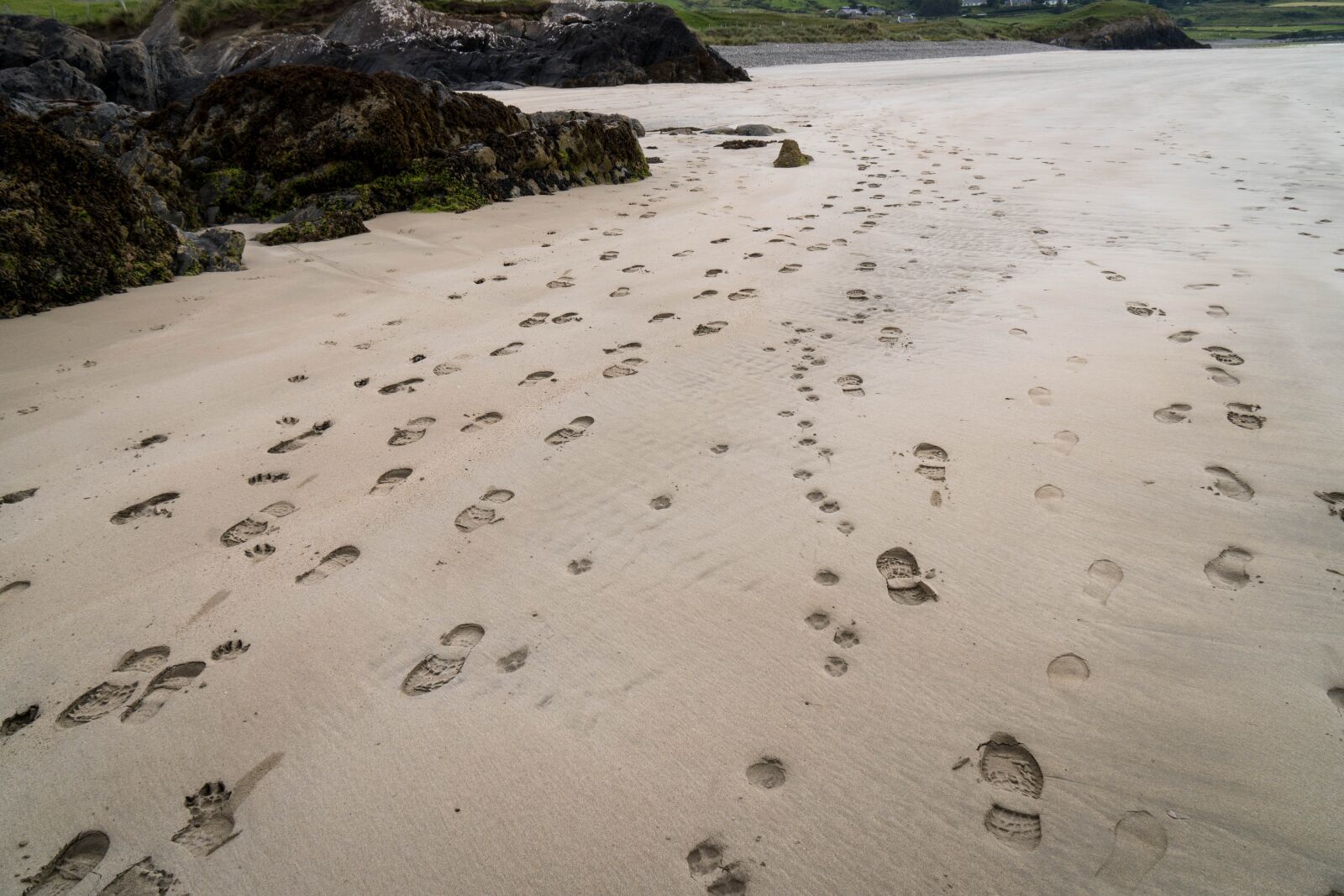 Sony a6500 + Sony Vario-Tessar T* E 16-70mm F4 ZA OSS sample photo. Sand, traces, beach photography