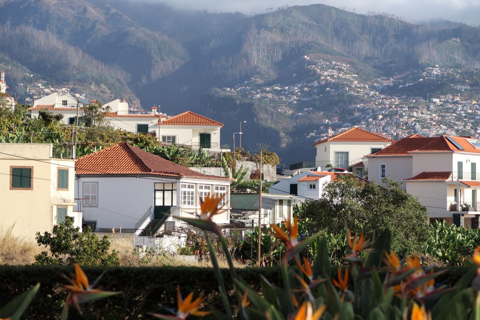 Canon PowerShot G7 X Mark II sample photo. Madeira, house, town photography