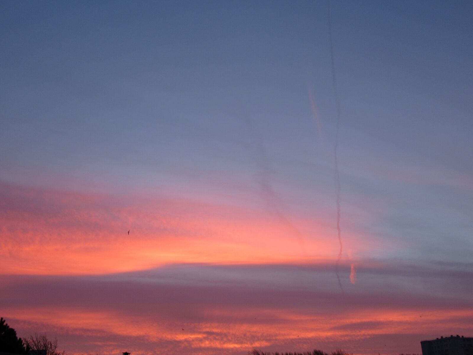 Canon PowerShot SX620 HS sample photo. Sky, orange, colors photography