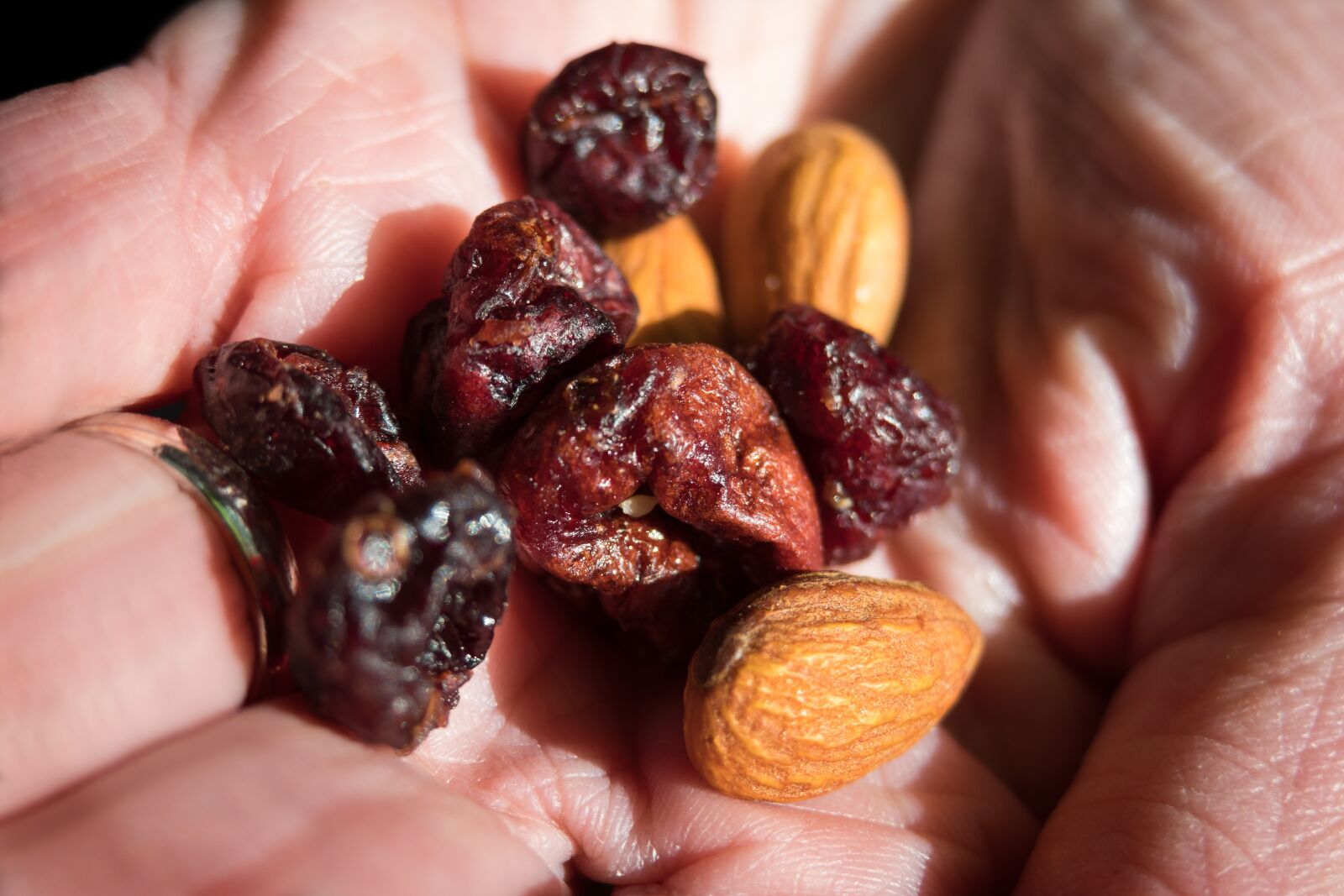 Canon PowerShot G3 X sample photo. Trail mix, hand, cranberries photography