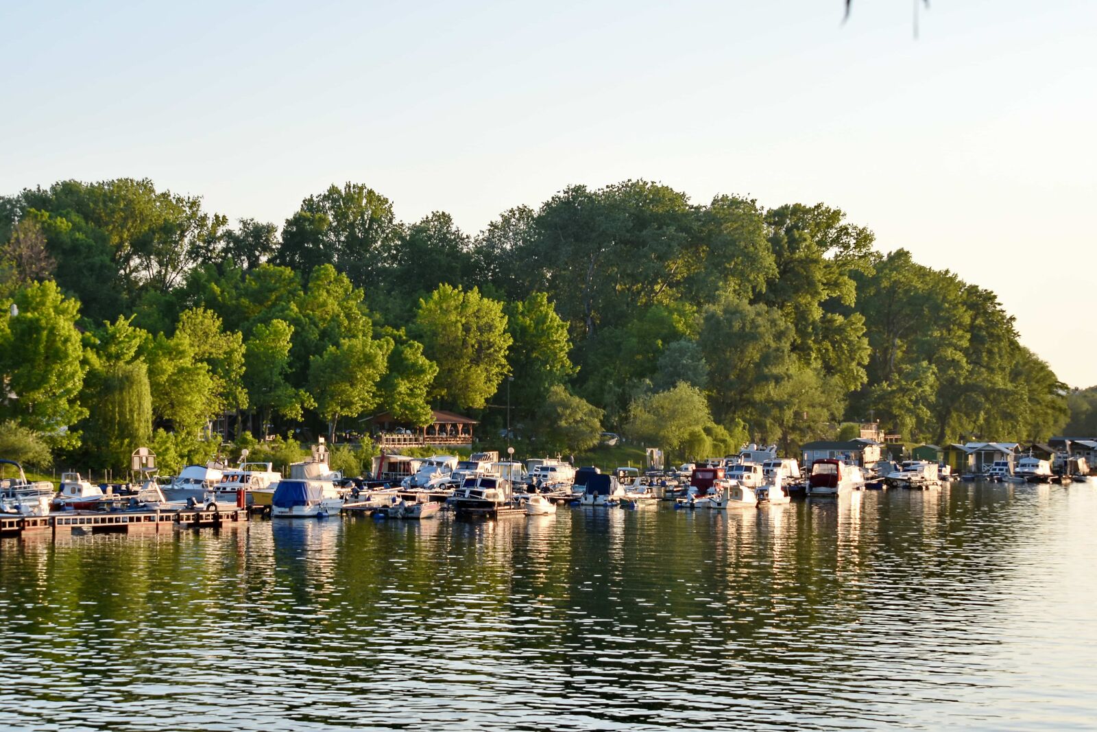 Nikon D5500 sample photo. Water, lake, landscape, tree photography