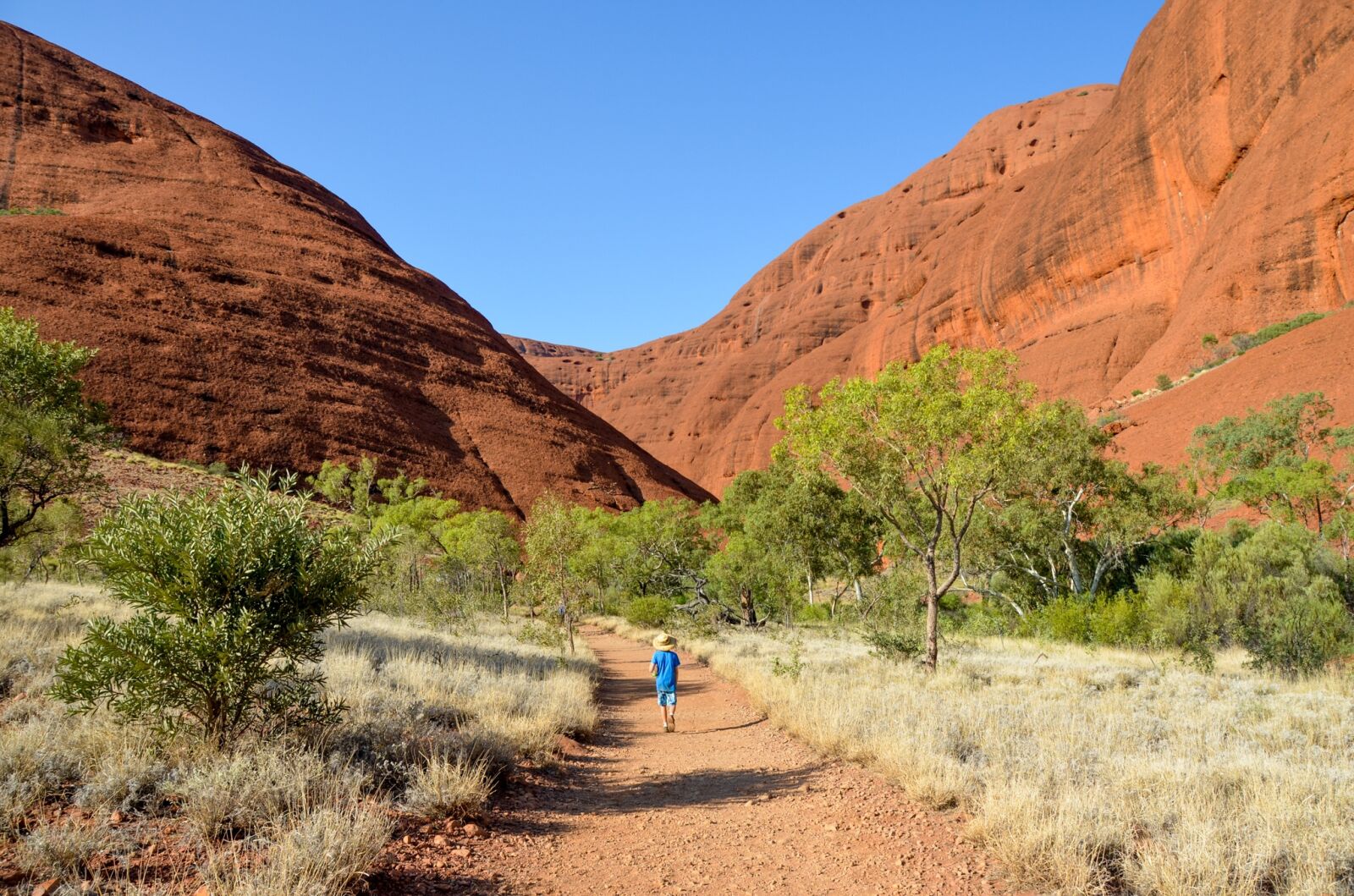 Nikon D5100 sample photo. The olgas, olgas, kata photography