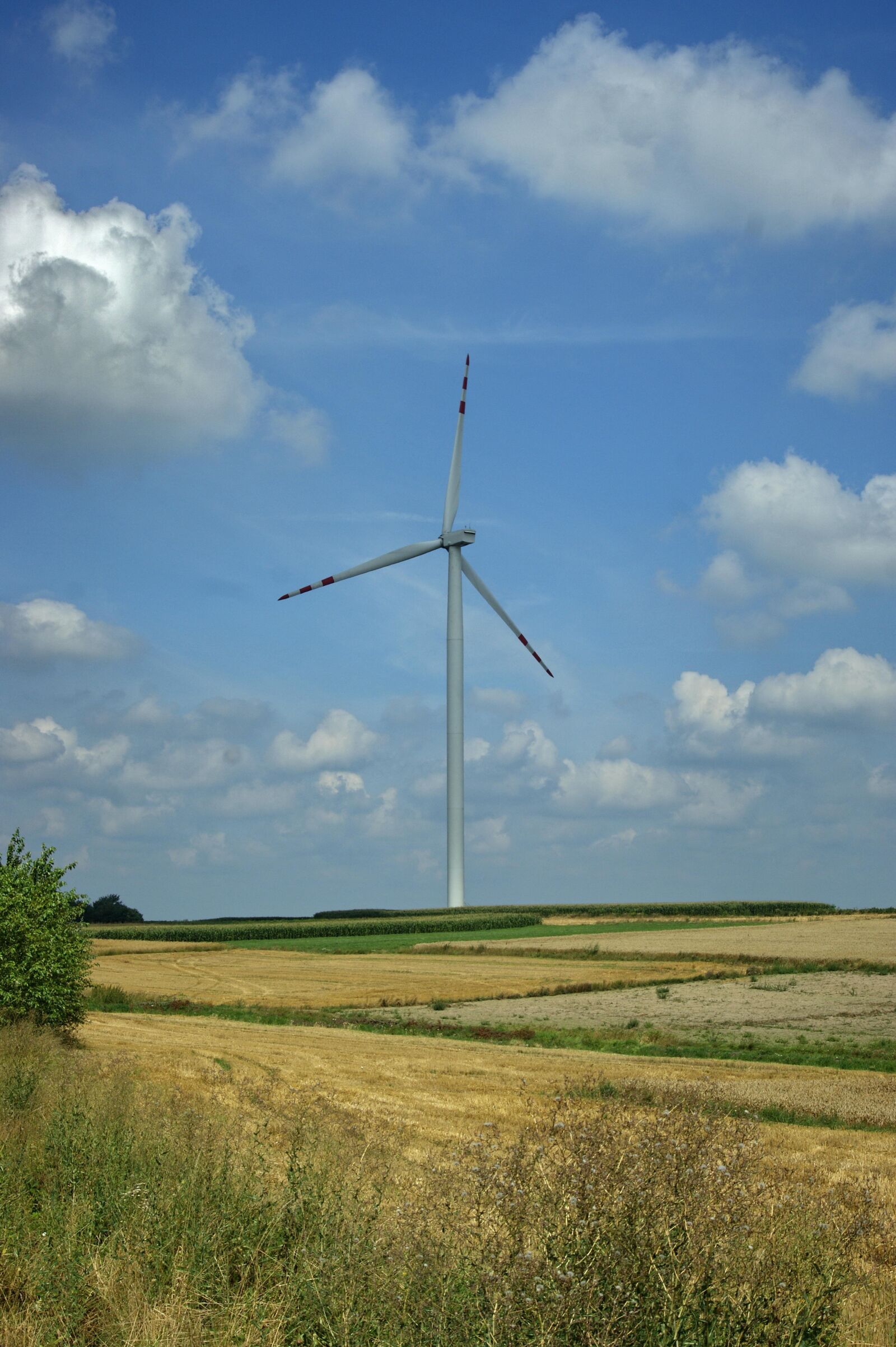 Sony Alpha DSLR-A290 sample photo. Blue sky, clouds, windmill photography