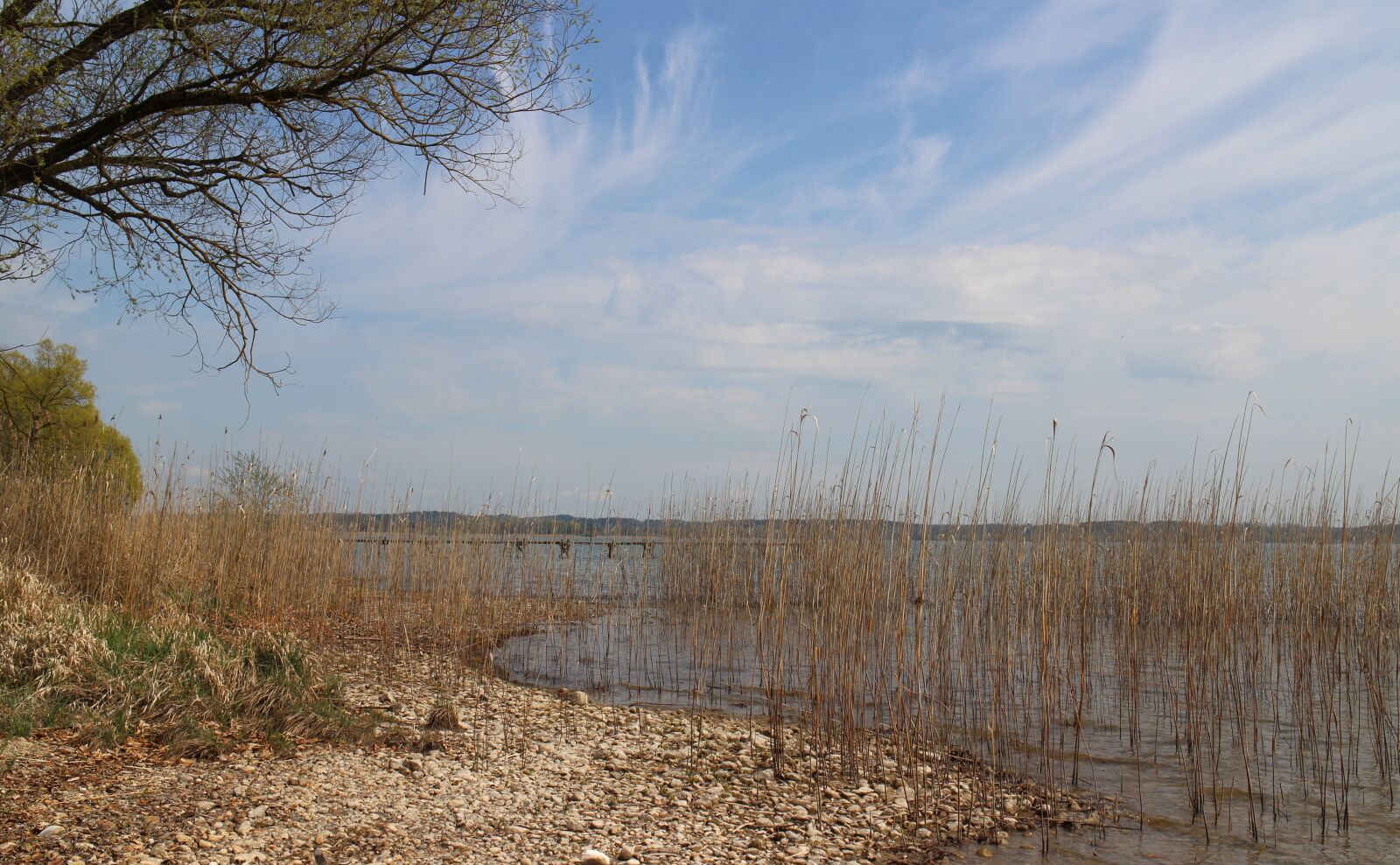 Canon EOS M sample photo. Bank, reed, lake photography