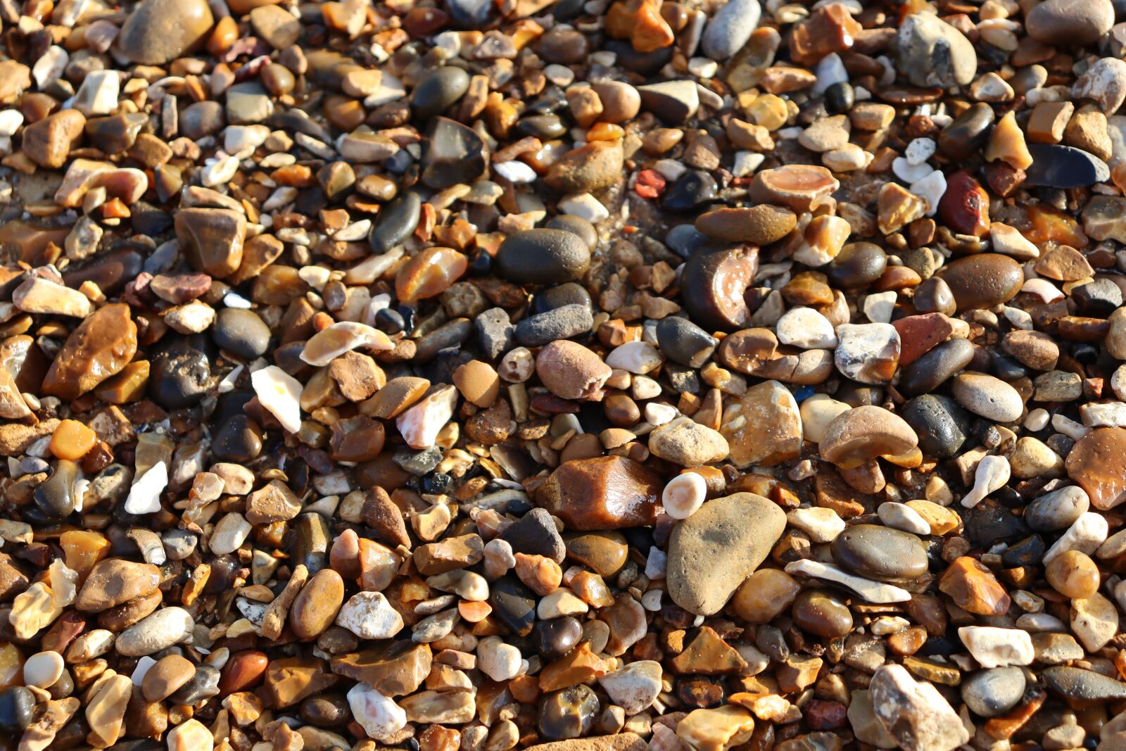 Canon EOS 250D (EOS Rebel SL3 / EOS Kiss X10 / EOS 200D II) sample photo. Pebbles, beach, stones photography