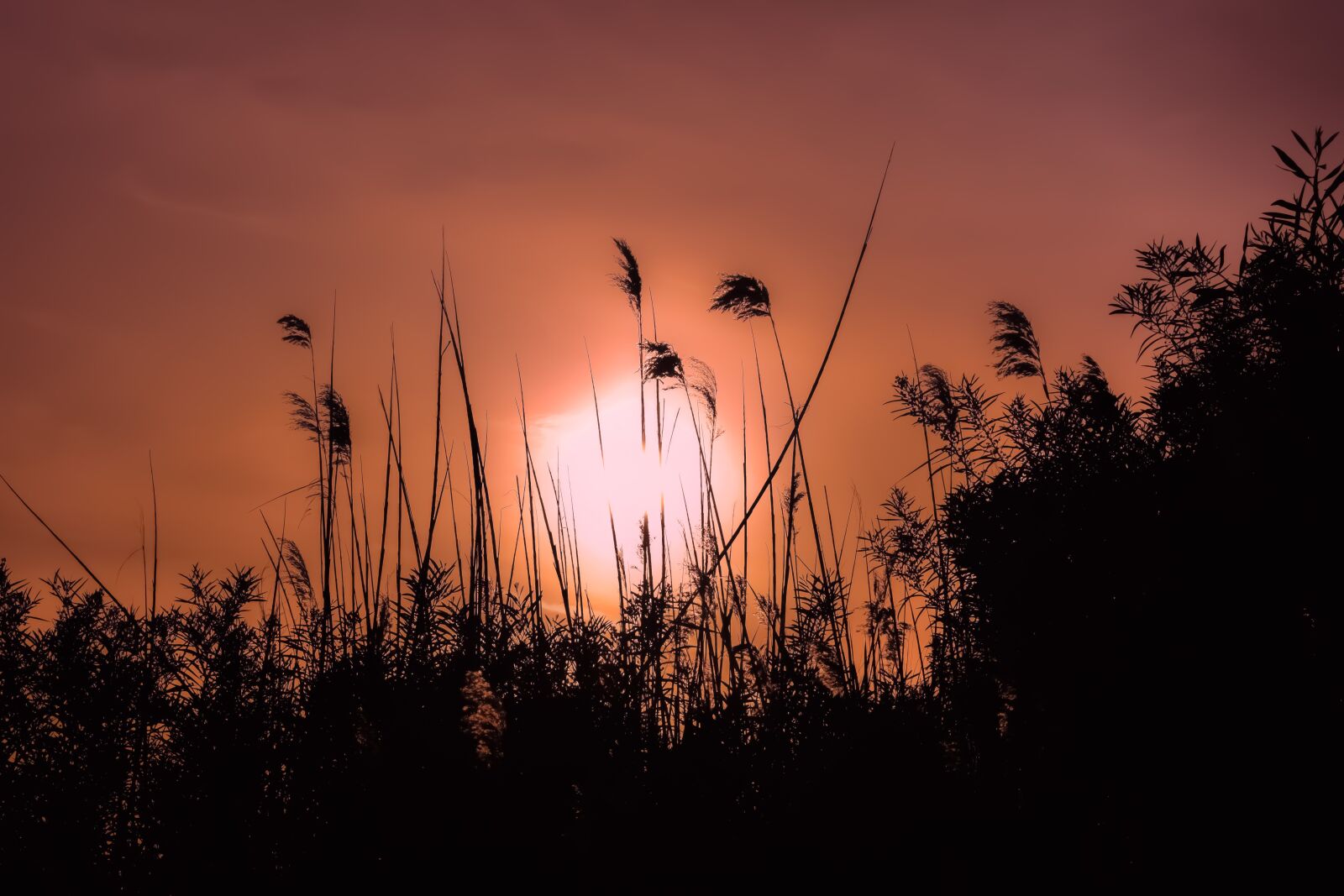 Nikon D3300 sample photo. Sunset, sun, dusk photography