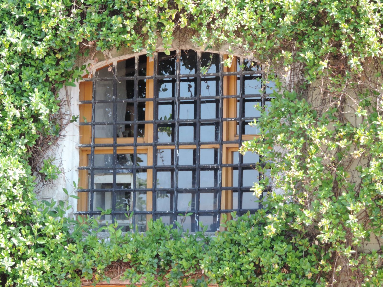 Nikon Coolpix P520 sample photo. House, building, garden, window photography
