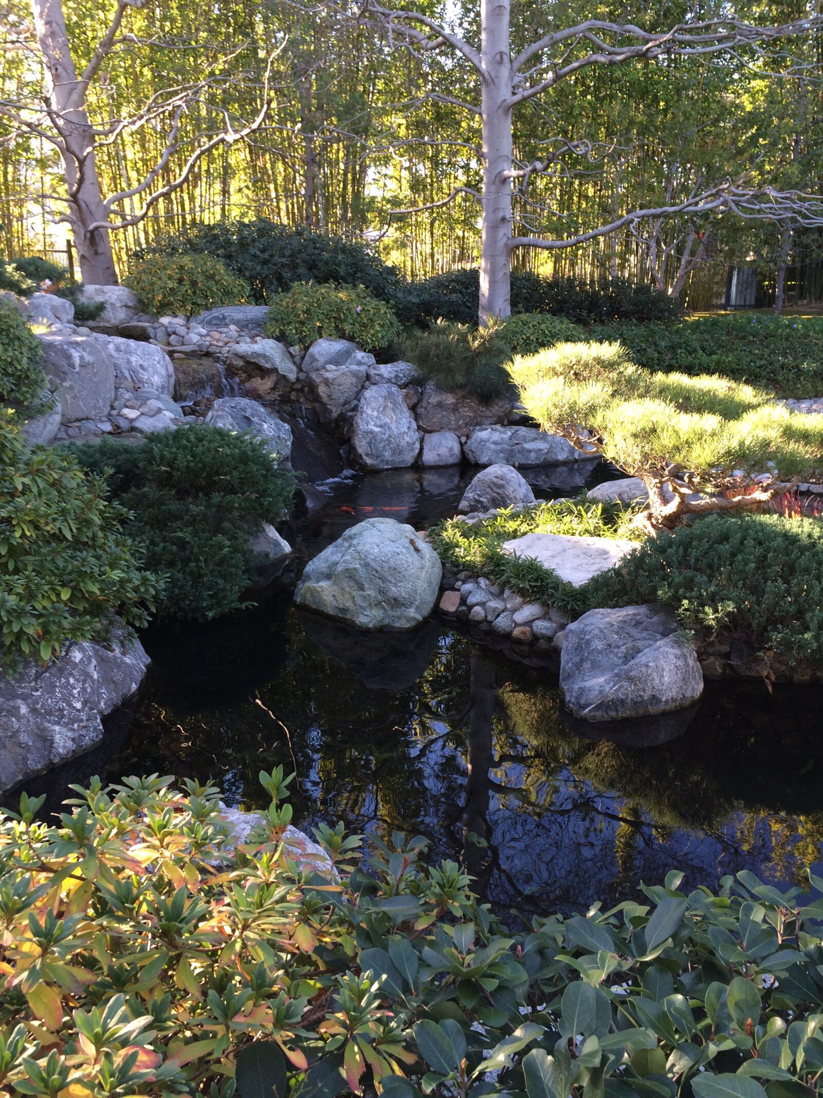 iPhone 5s back camera 4.15mm f/2.2 sample photo. Japanese, garden, nature photography