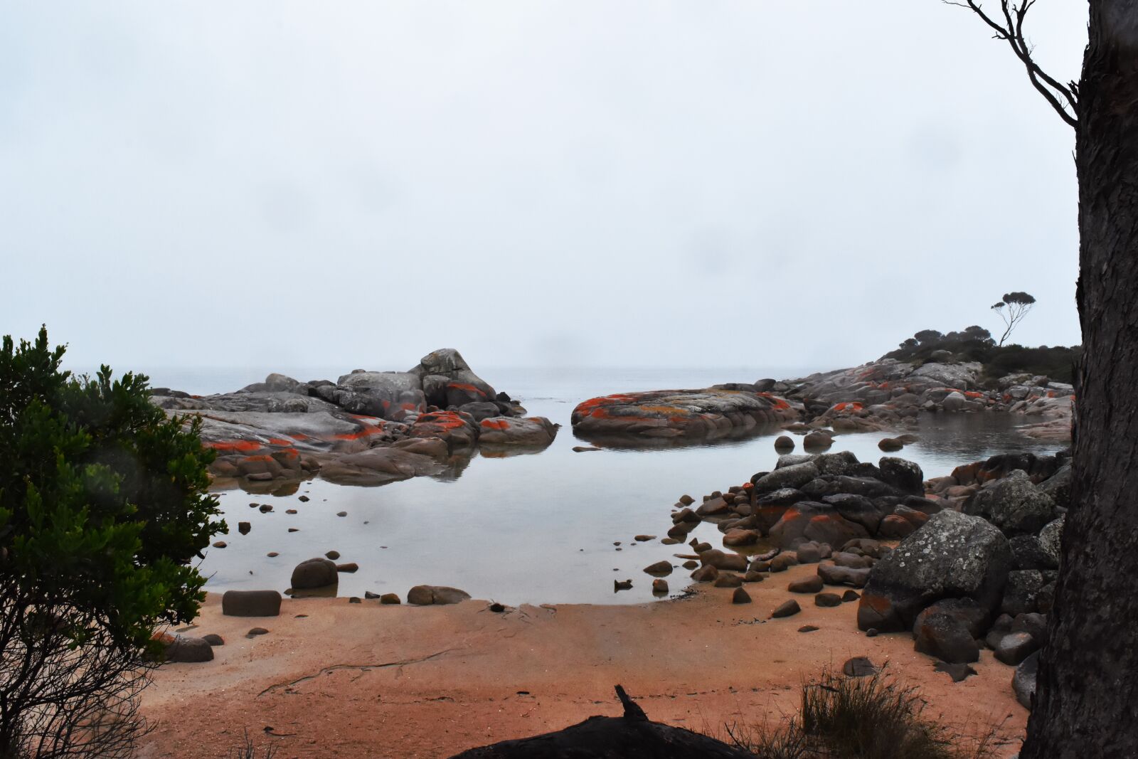 Nikon D7200 sample photo. Australia, bay of fires photography