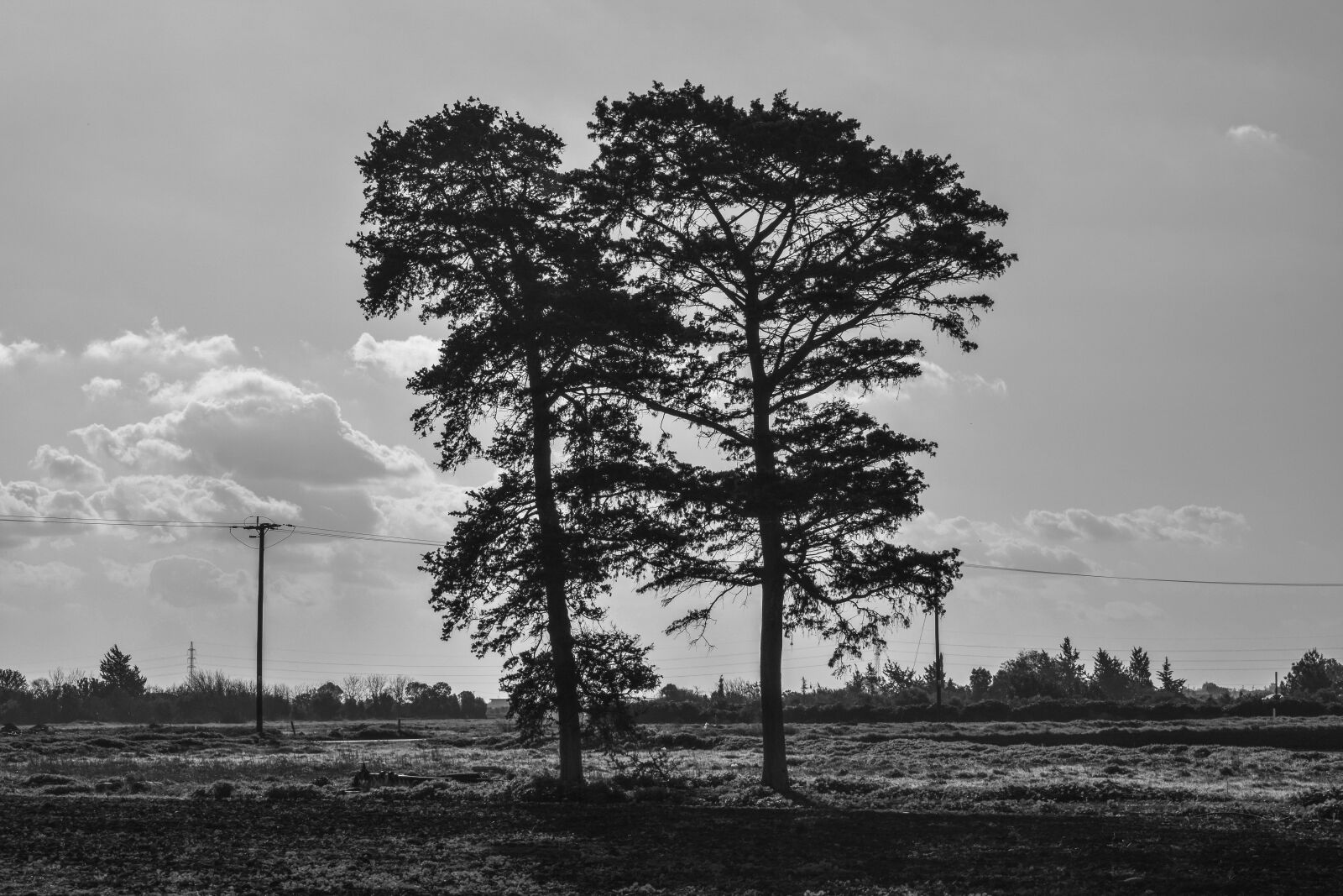 Nikon D3300 sample photo. Landscape, winter, trees photography