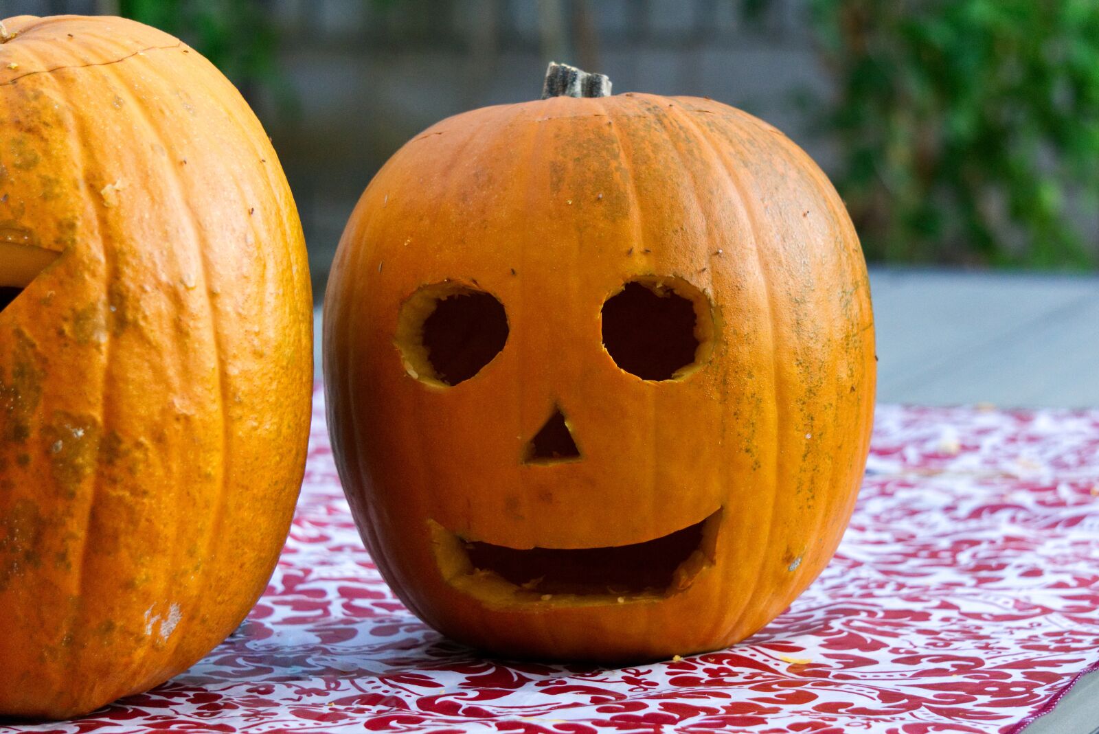 Sony a6000 sample photo. Halloween, pumpkin, monster photography