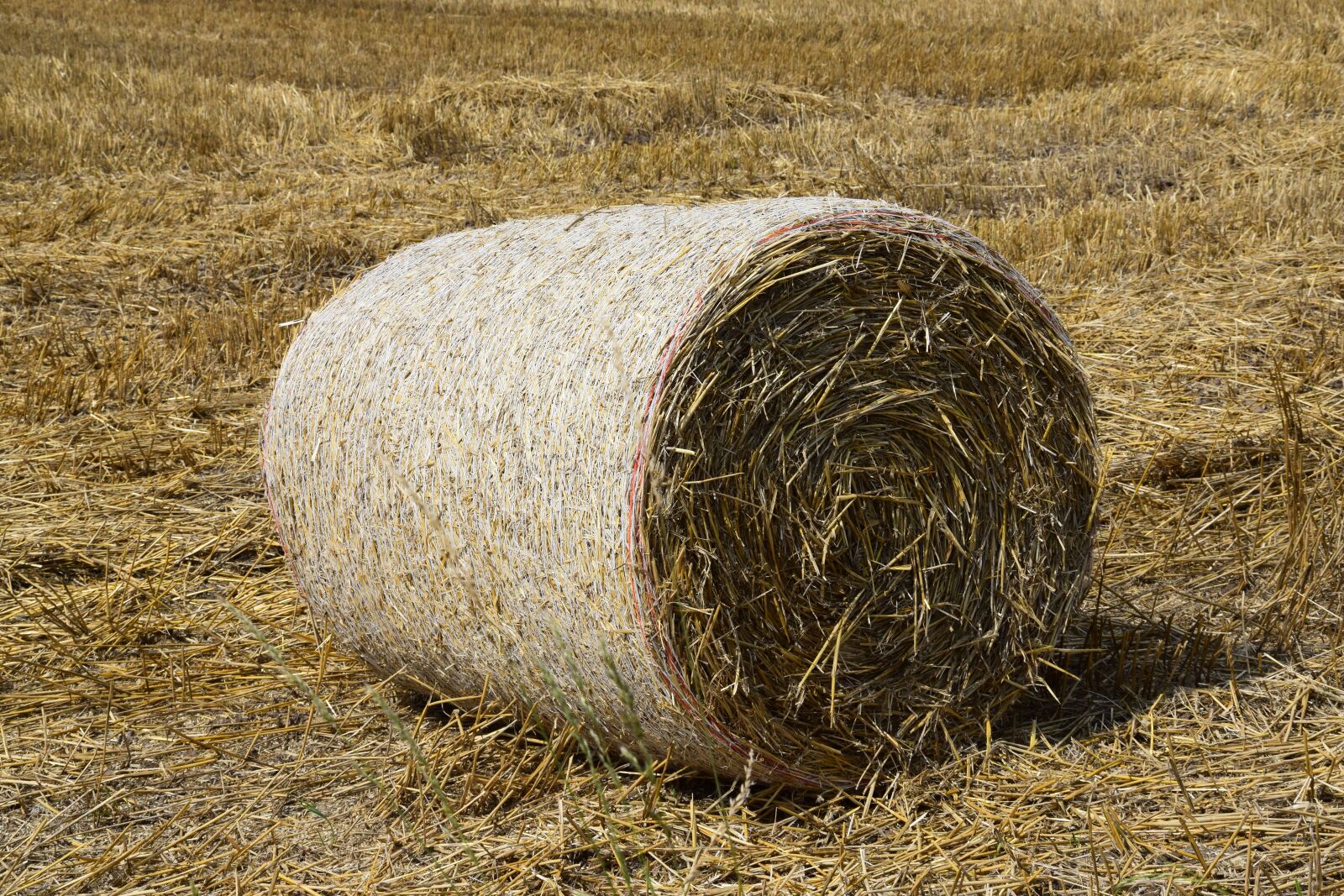 Nikon D3300 sample photo. Hay, hay bales, straw photography