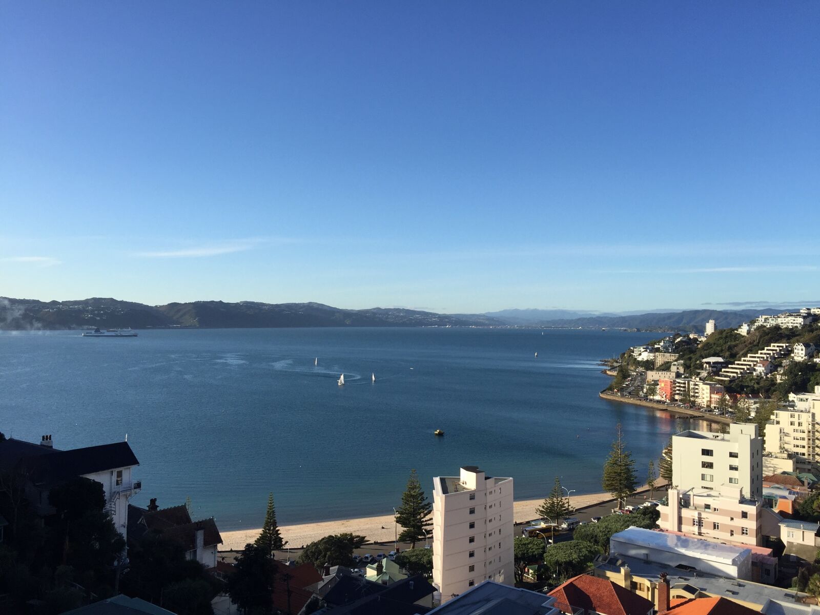 Apple iPhone 6 sample photo. Wellington, harbour, sky photography
