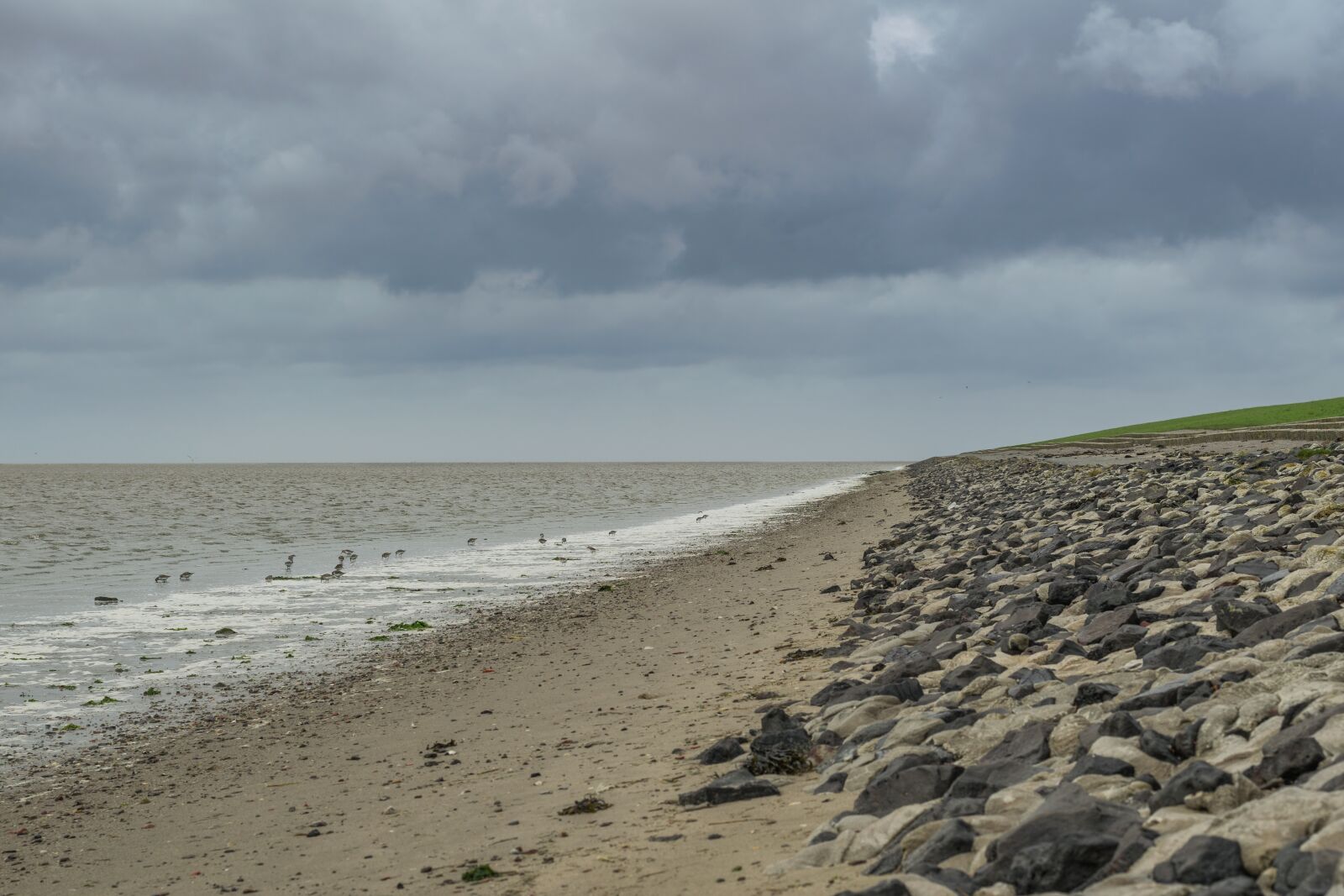 Nikon D5300 sample photo. North sea, east frisia photography