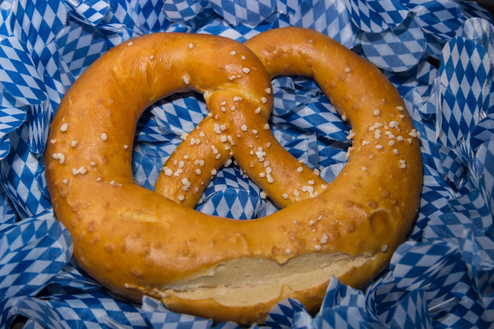 Canon EOS 600D (Rebel EOS T3i / EOS Kiss X5) sample photo. Pretzel, pretzels, crispy photography