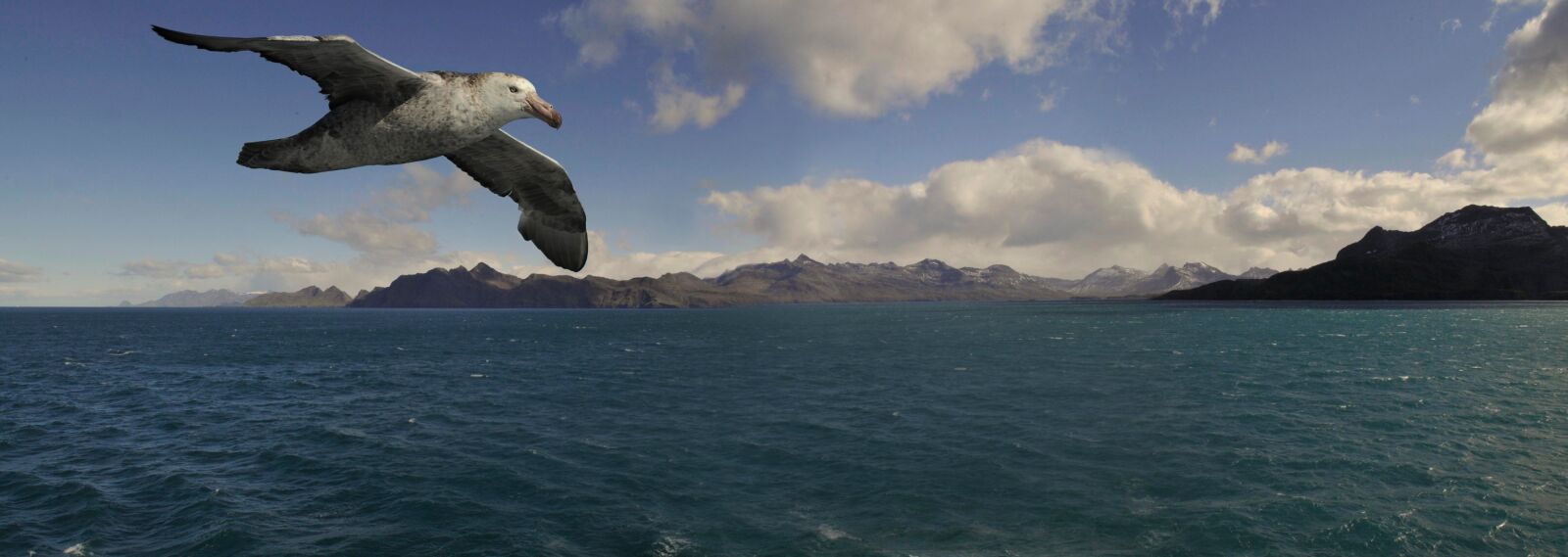 Nikon D300 sample photo. Waters, nature, panorama photography