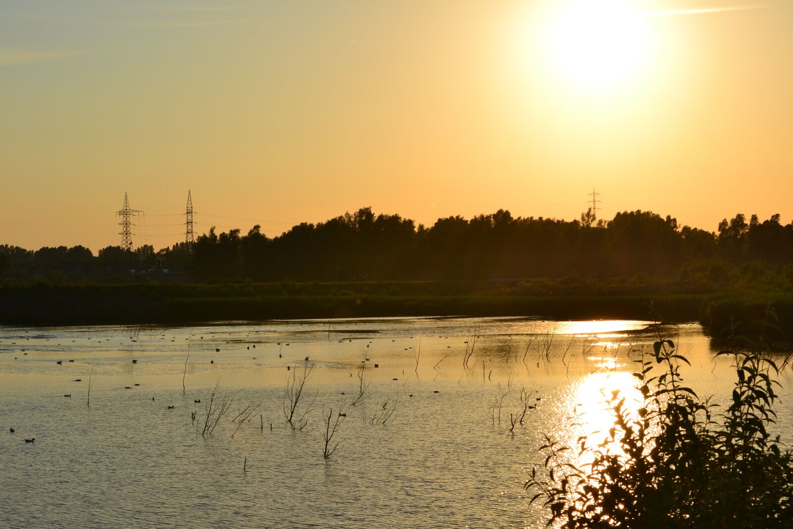 Nikon D3100 sample photo. River, nature, tree photography