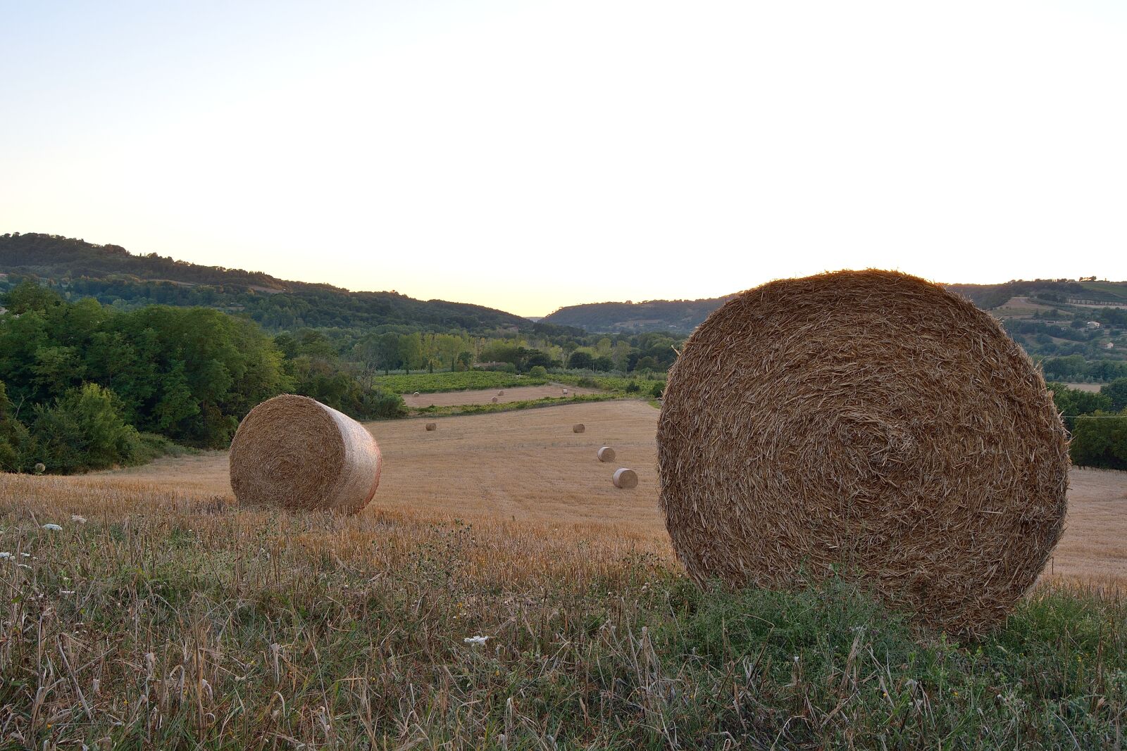 Nikon D5200 sample photo. Campaign, bales, landscape photography