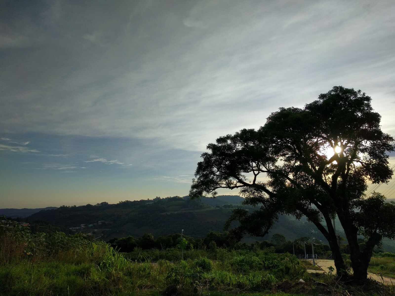 LG Nexus 5X sample photo. Landscape, sky, tree photography