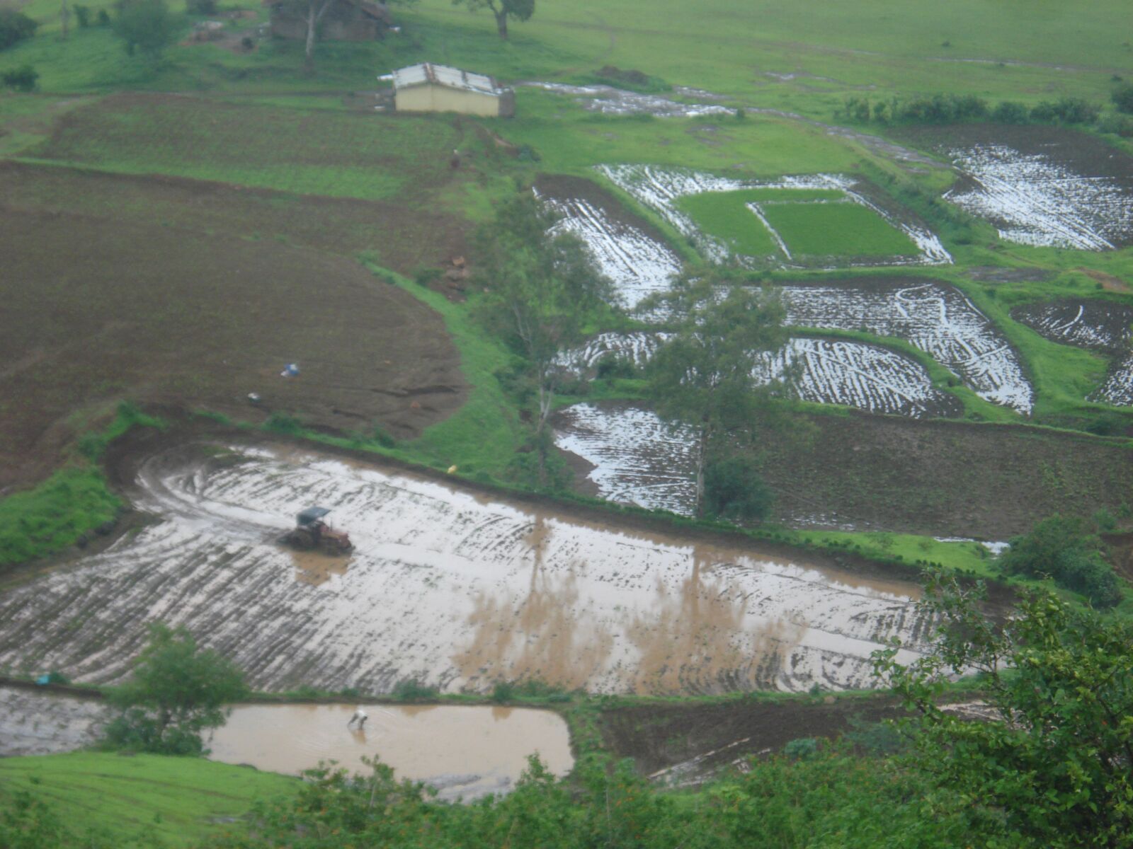 Sony DSC-W35 sample photo. Village, nature, monsoon photography