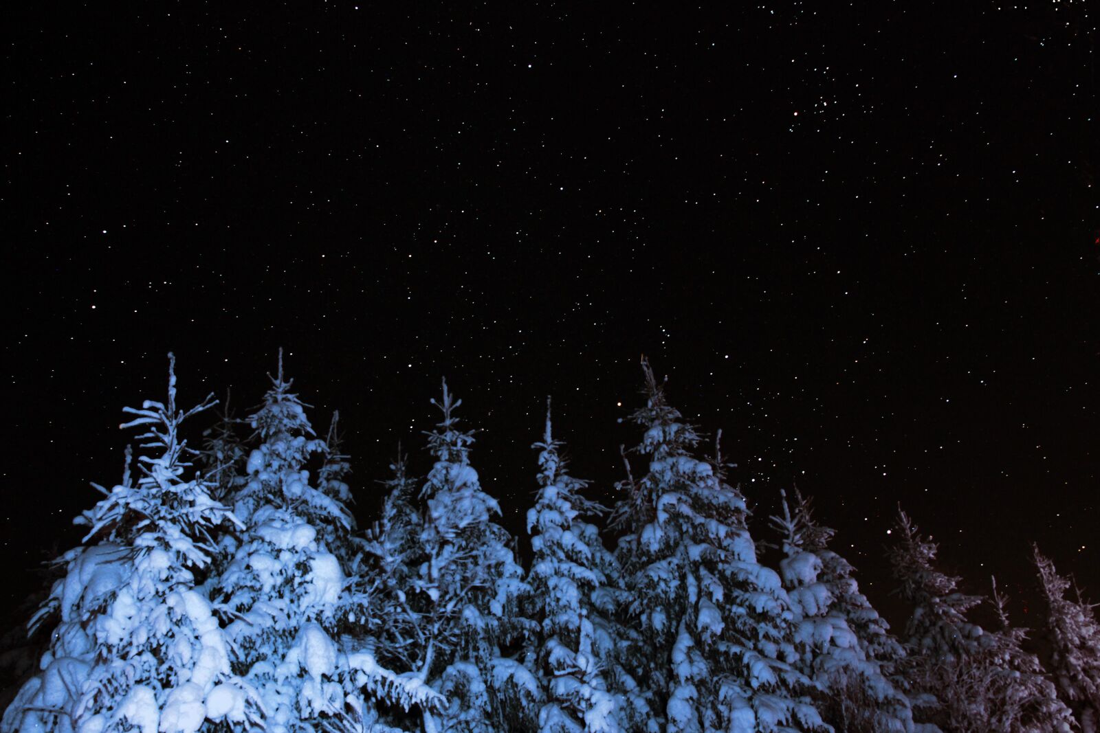 Canon EOS 5D Mark II sample photo. Snow, trees, winter photography