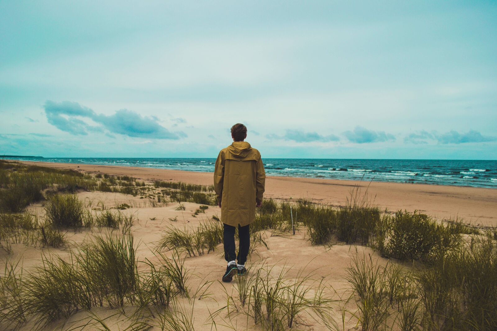 Nikon D3100 sample photo. Beach, grass, ocean photography