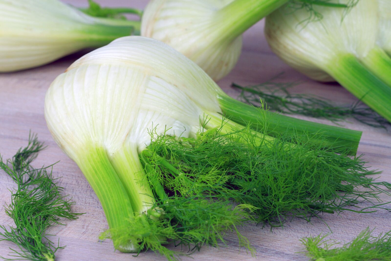 Canon EOS 7D sample photo. Fennel, vegetables, food photography