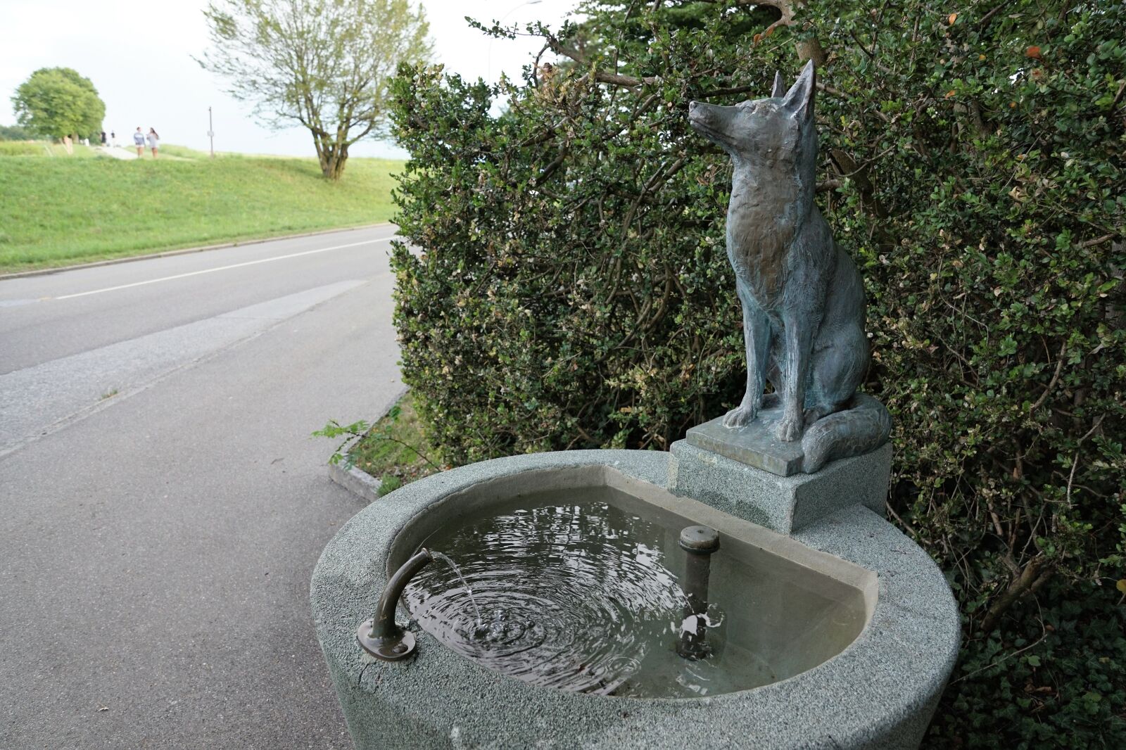 Sony DT 16-50mm F2.8 SSM sample photo. Fuchs, fountain, nature photography