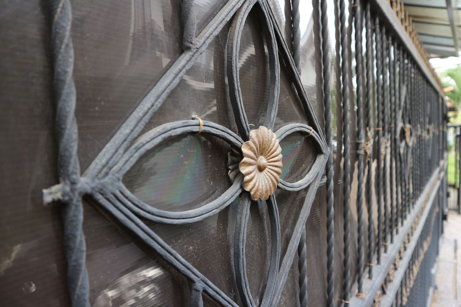 Canon EOS M10 sample photo. Close, up, of, wood photography