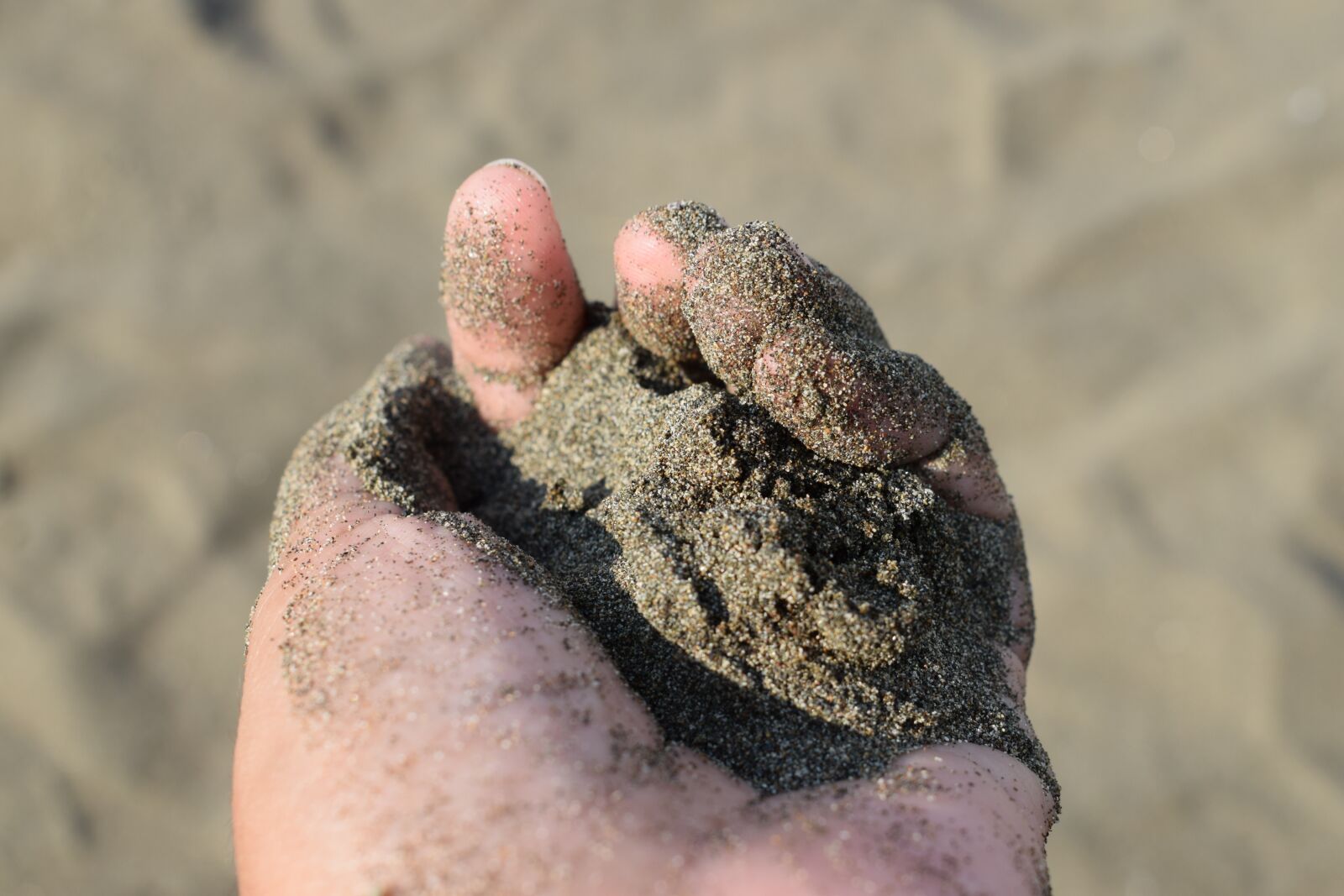 Nikon D3300 sample photo. Sand, hand, beach photography