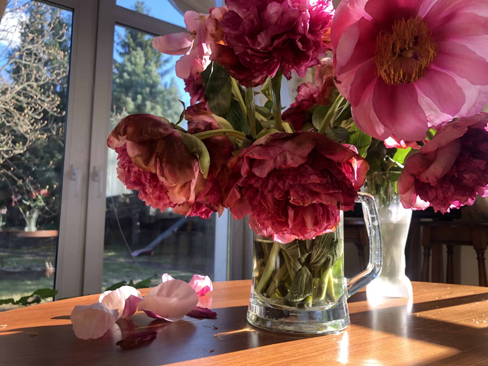 iPhone X back dual camera 4mm f/1.8 sample photo. Peony, bouquet, sunlight photography