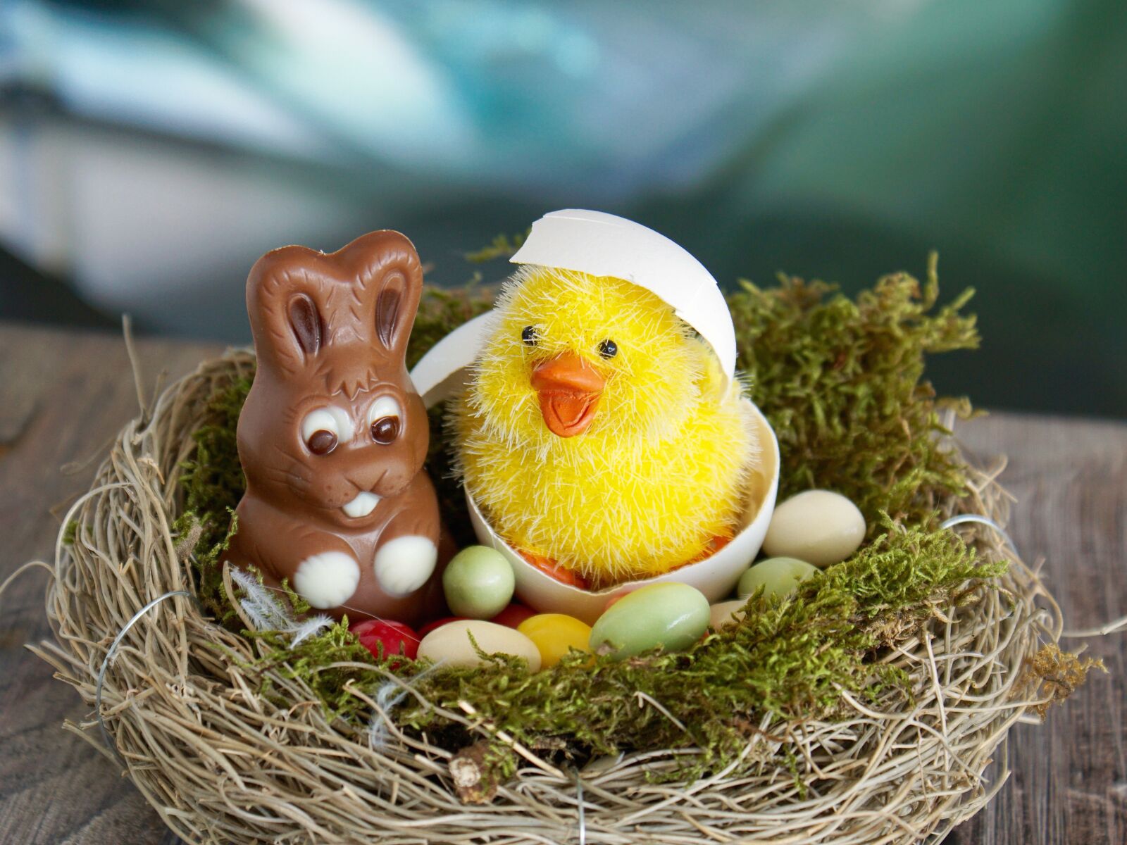 Sony DT 18-70mm F3.5-5.6 sample photo. Easter nest, easter, easter photography