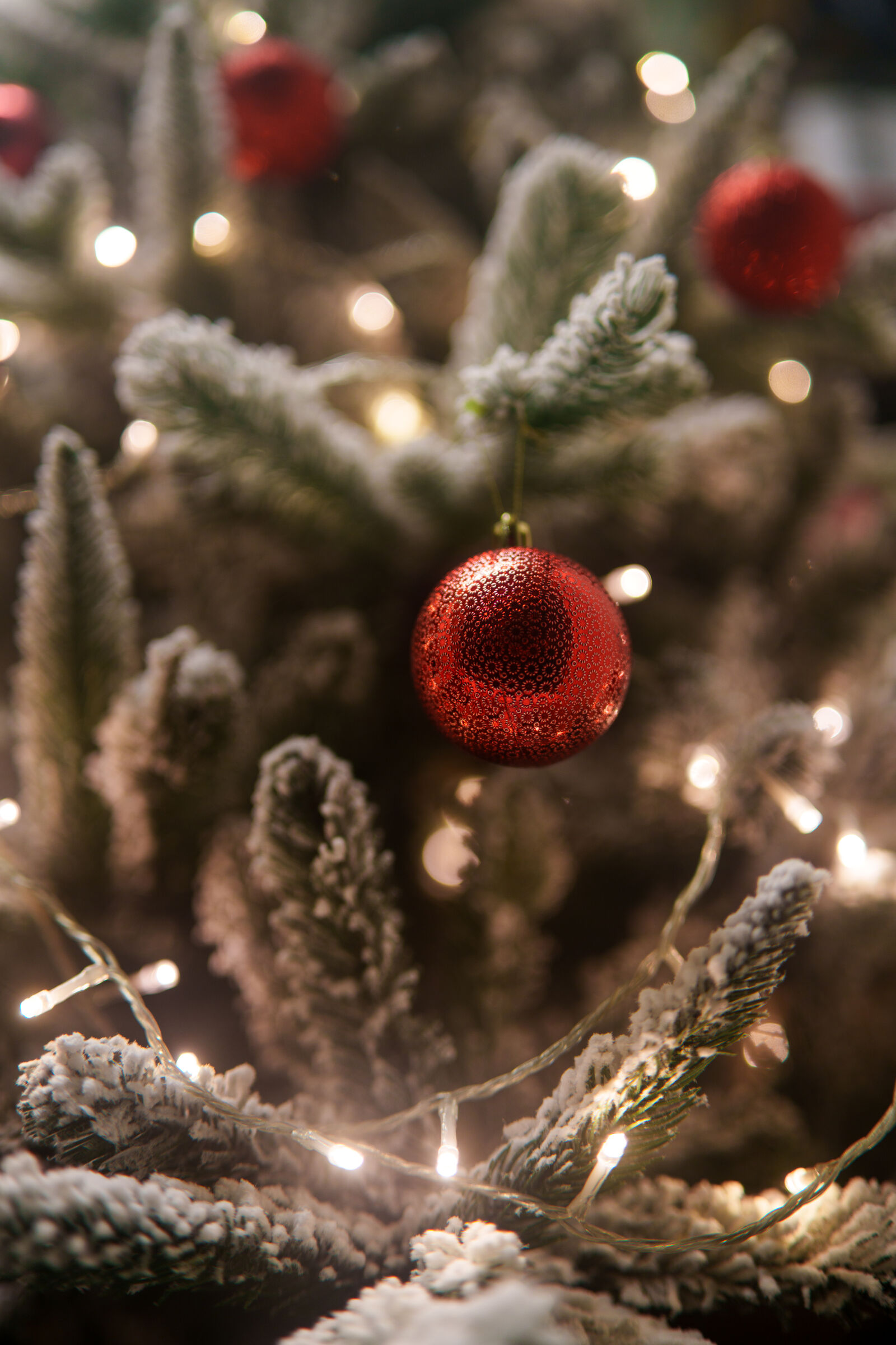 Samyang AF 35mm F1.4 P sample photo. Seasonal decoration photography